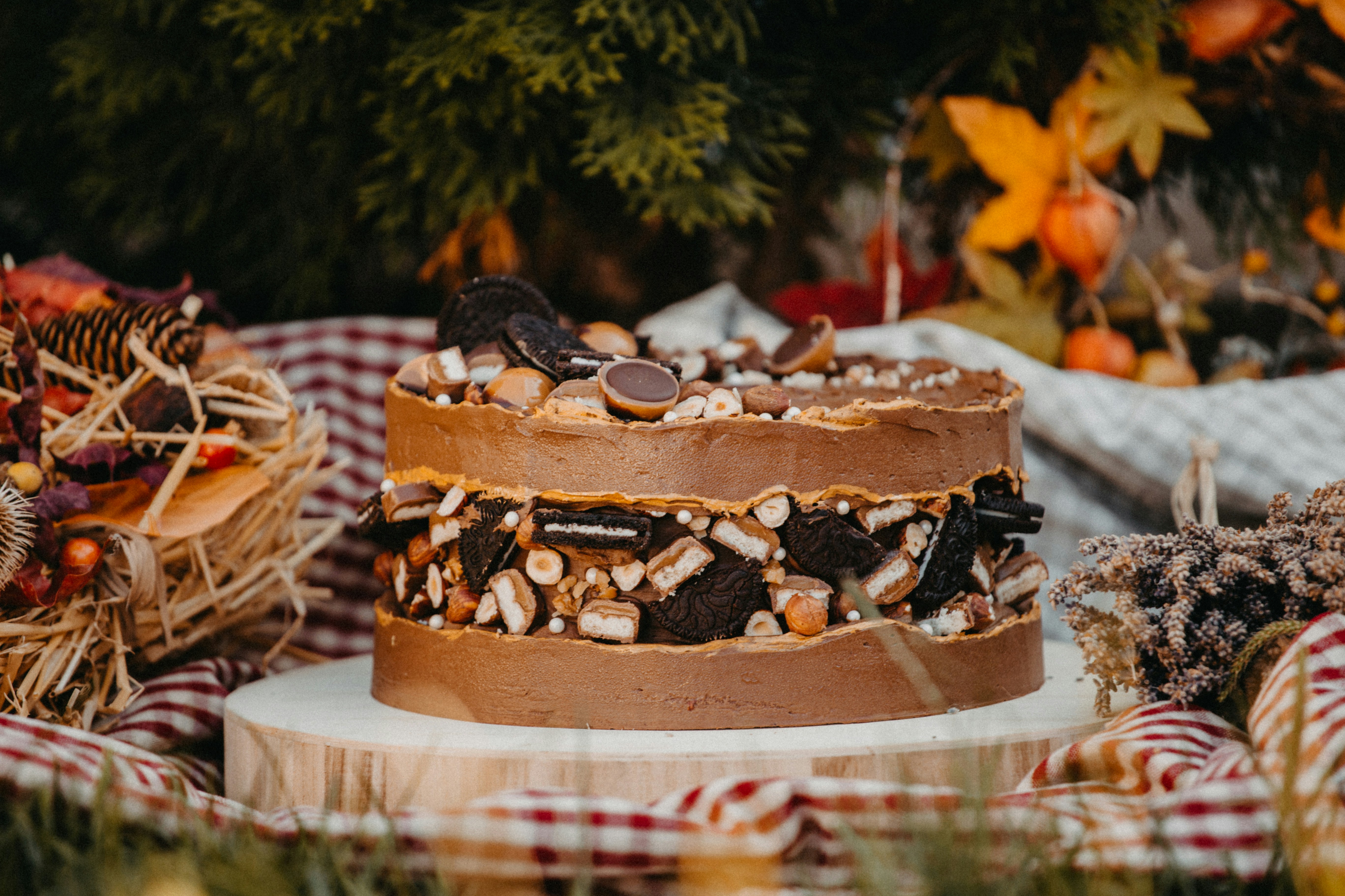 Photo by raymondpetrik