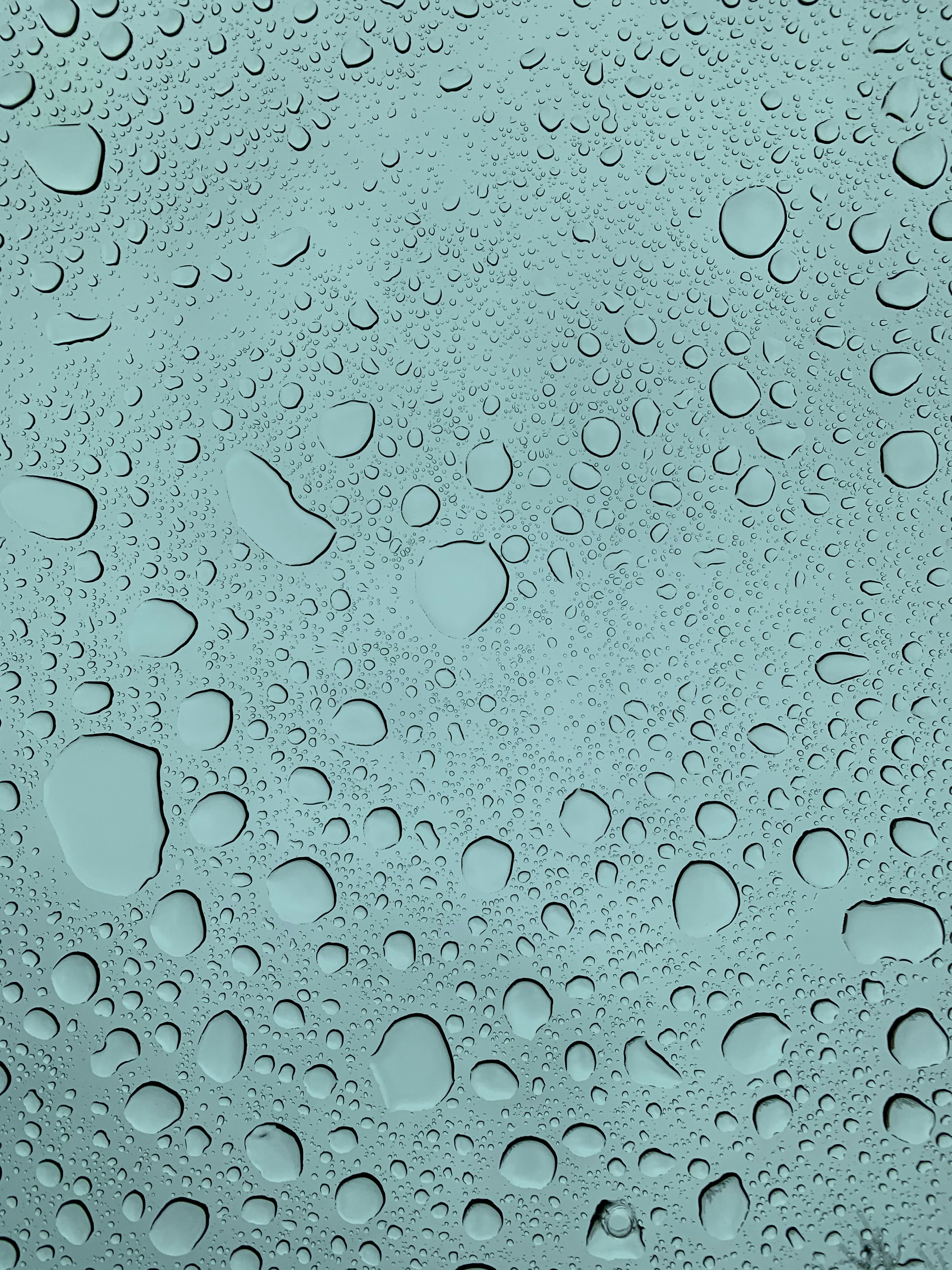 Photo by raymondpetrik