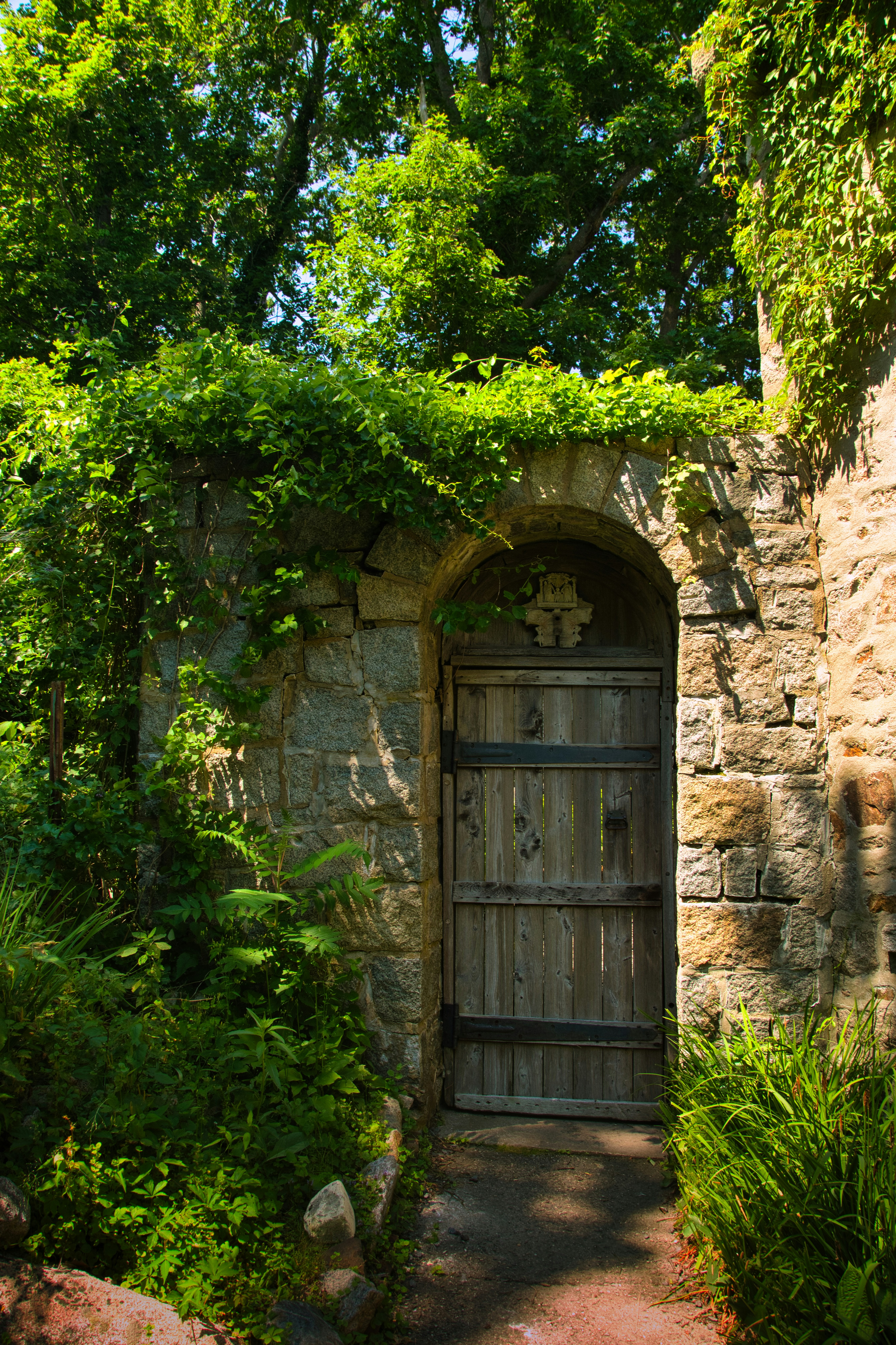A stone building with a wooden door surrounded by greenery
