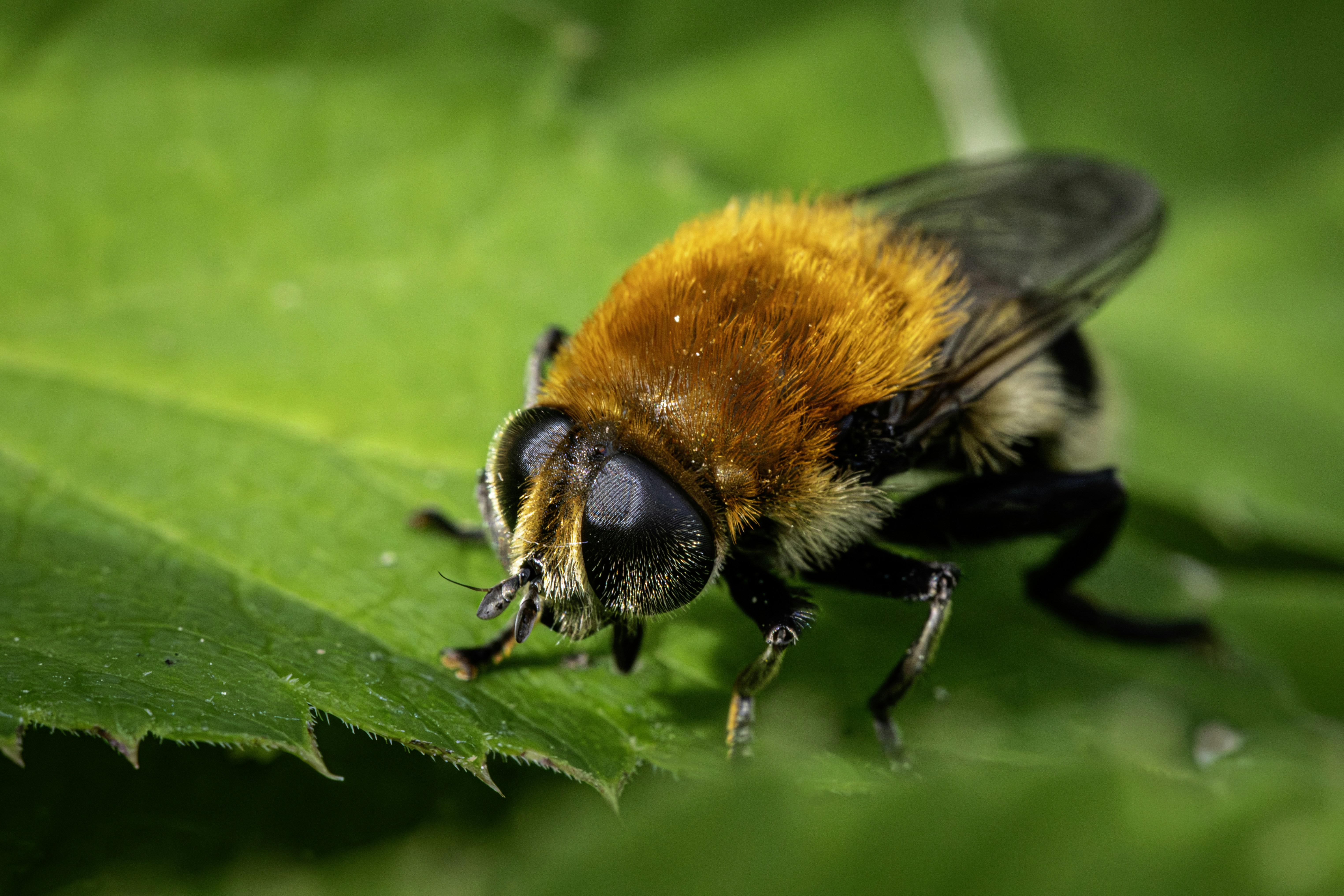 Photo by erik_karits