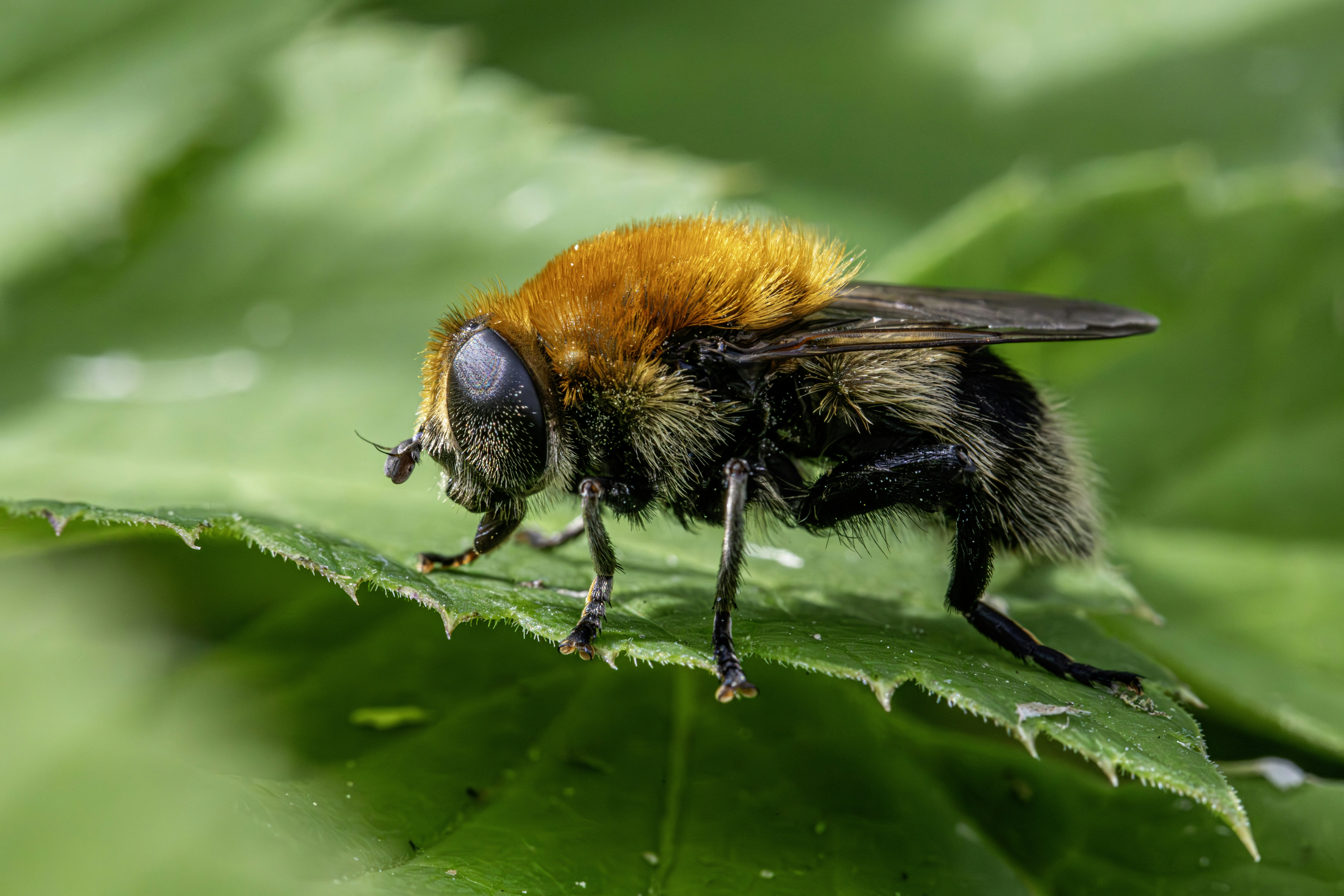 Photo by erik_karits