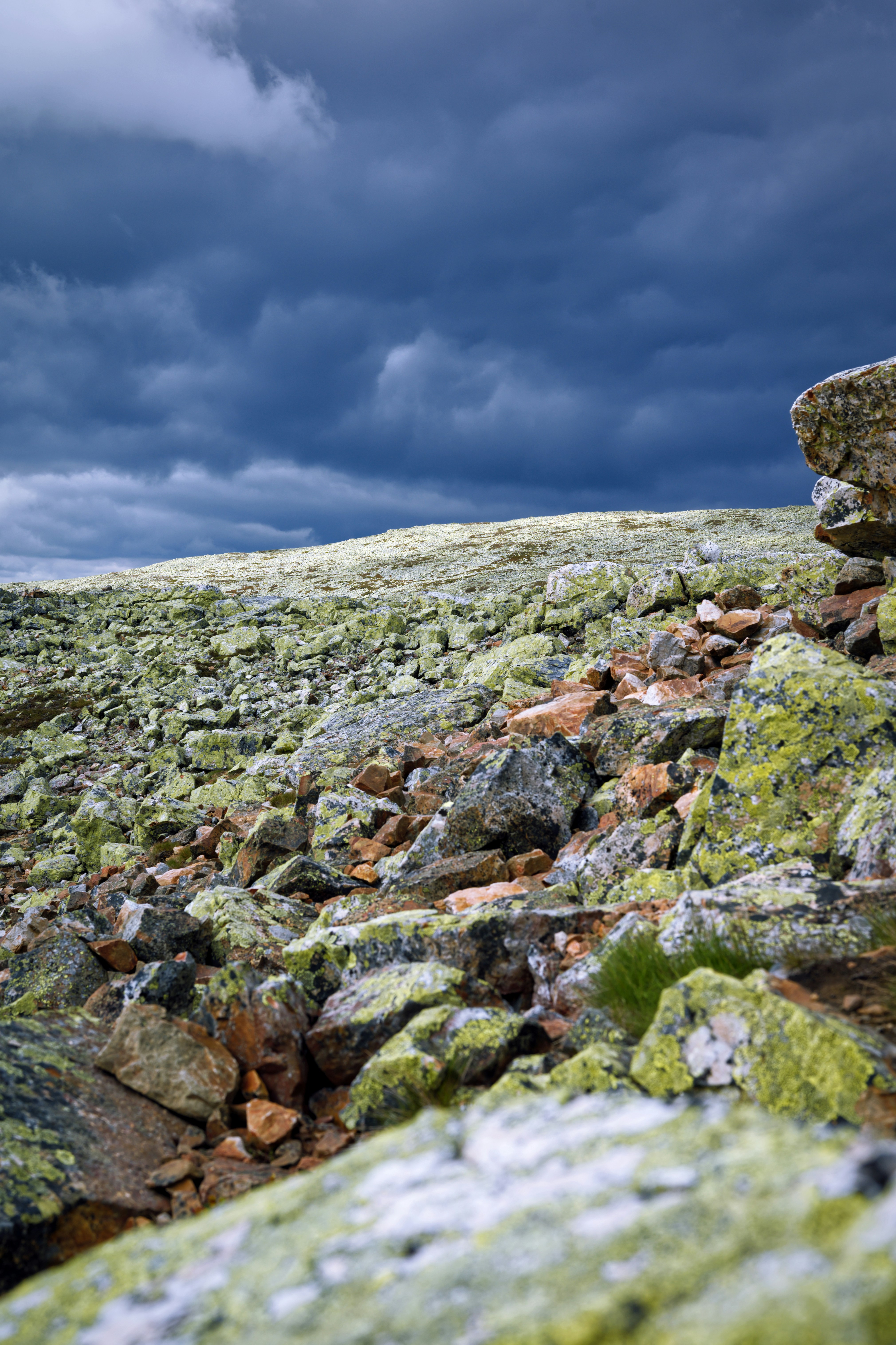 Photo by job_vermeulen