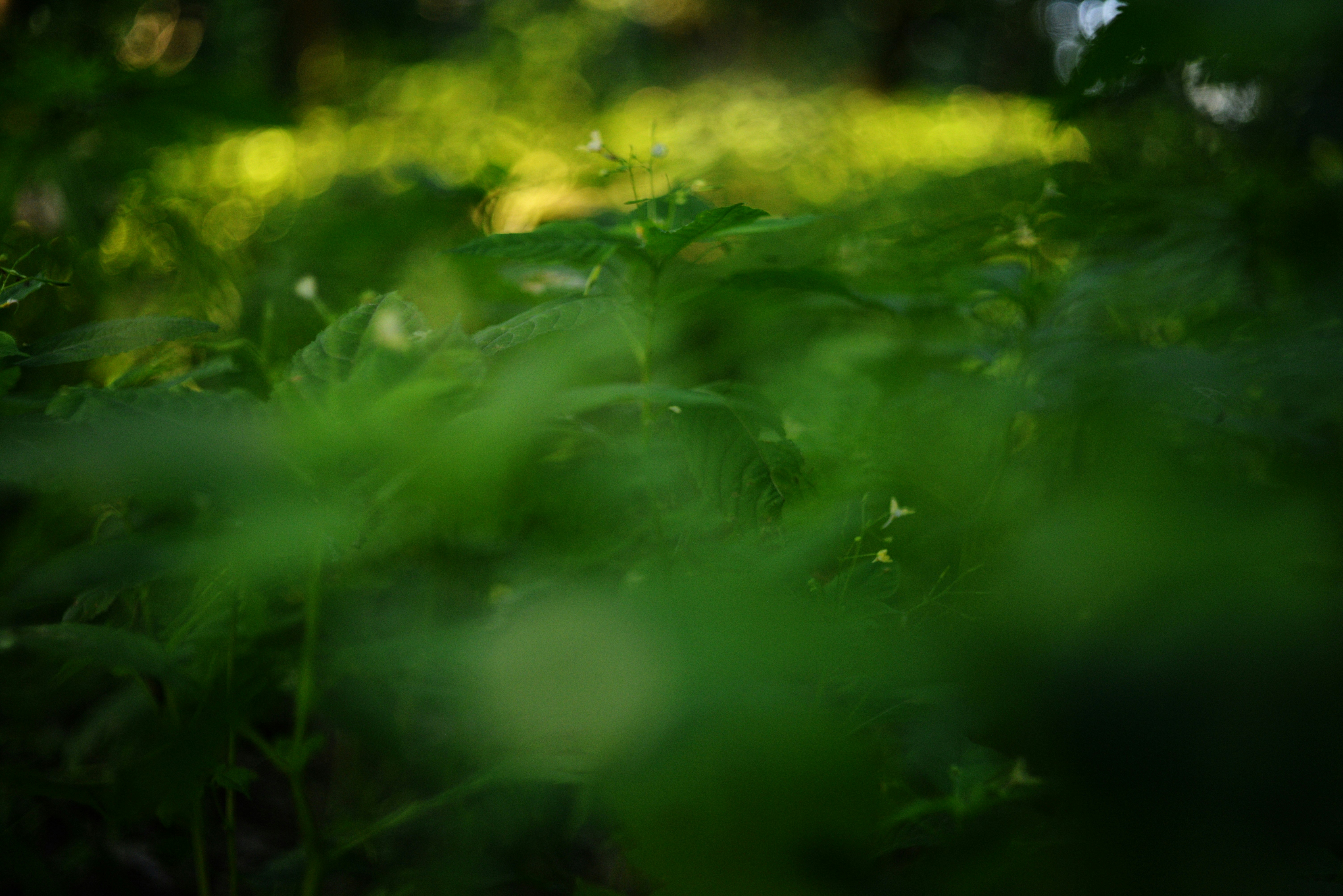 Photo by cherstve_pechivo