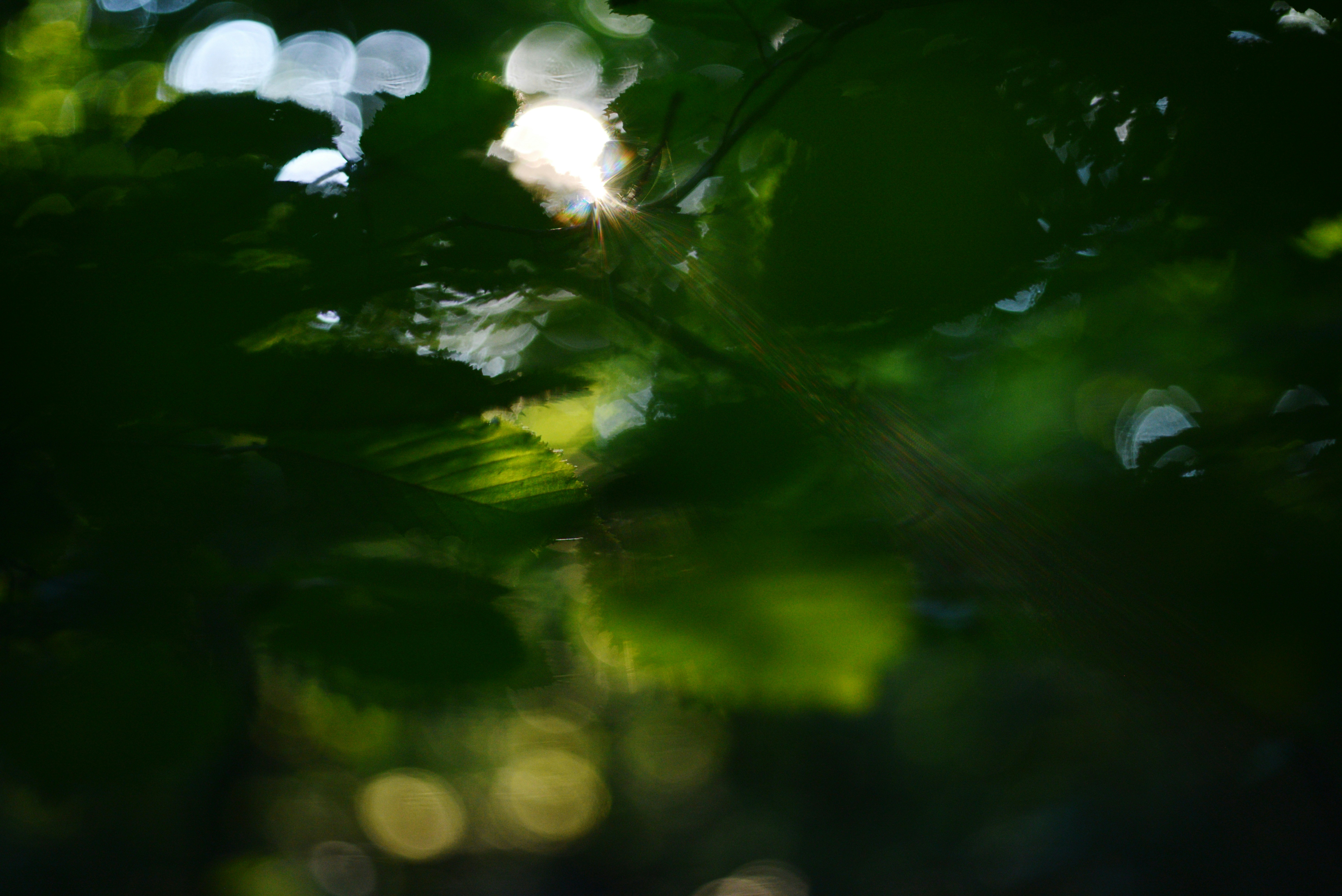 Photo by cherstve_pechivo