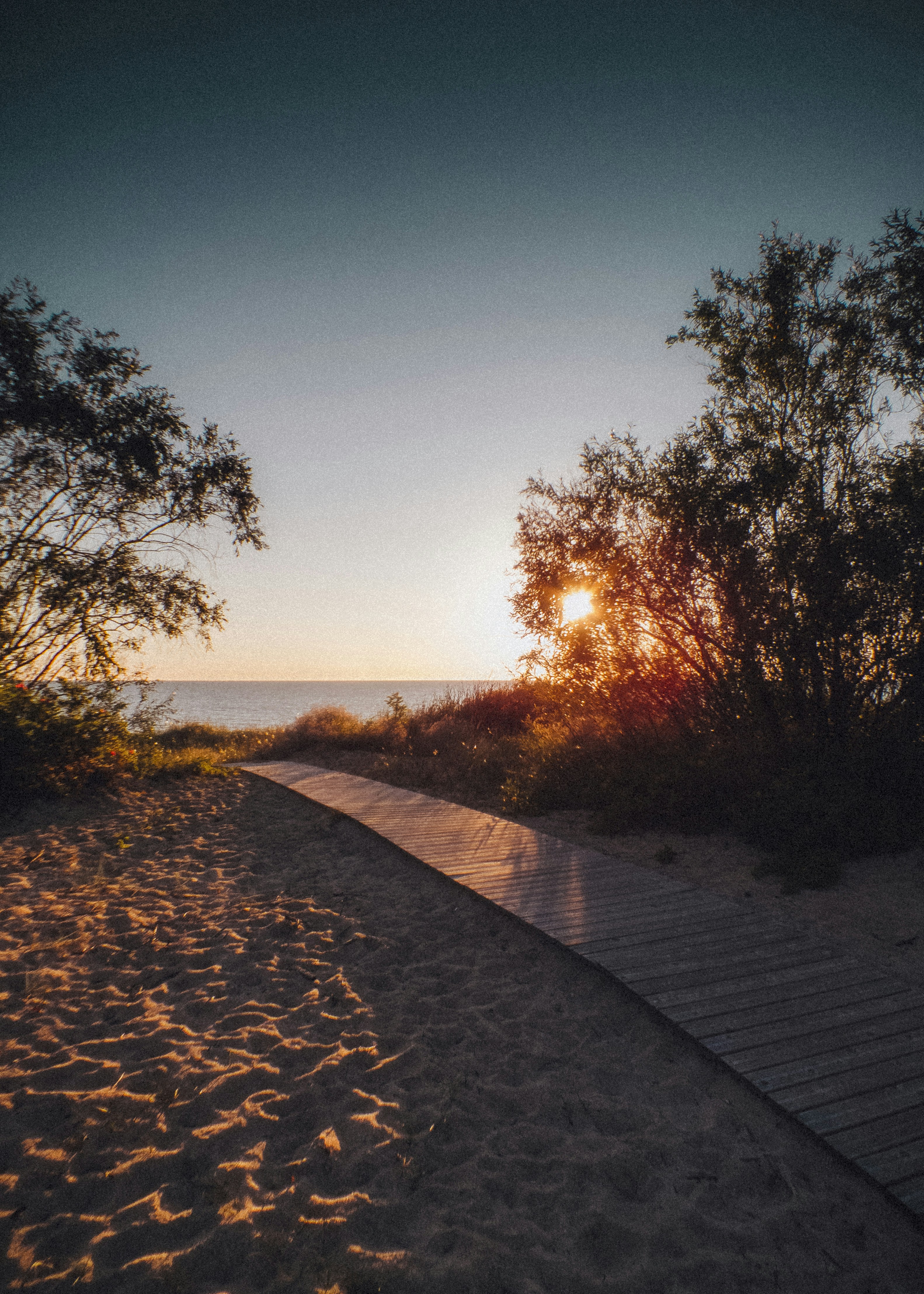 Photo by iamfrancismorgan