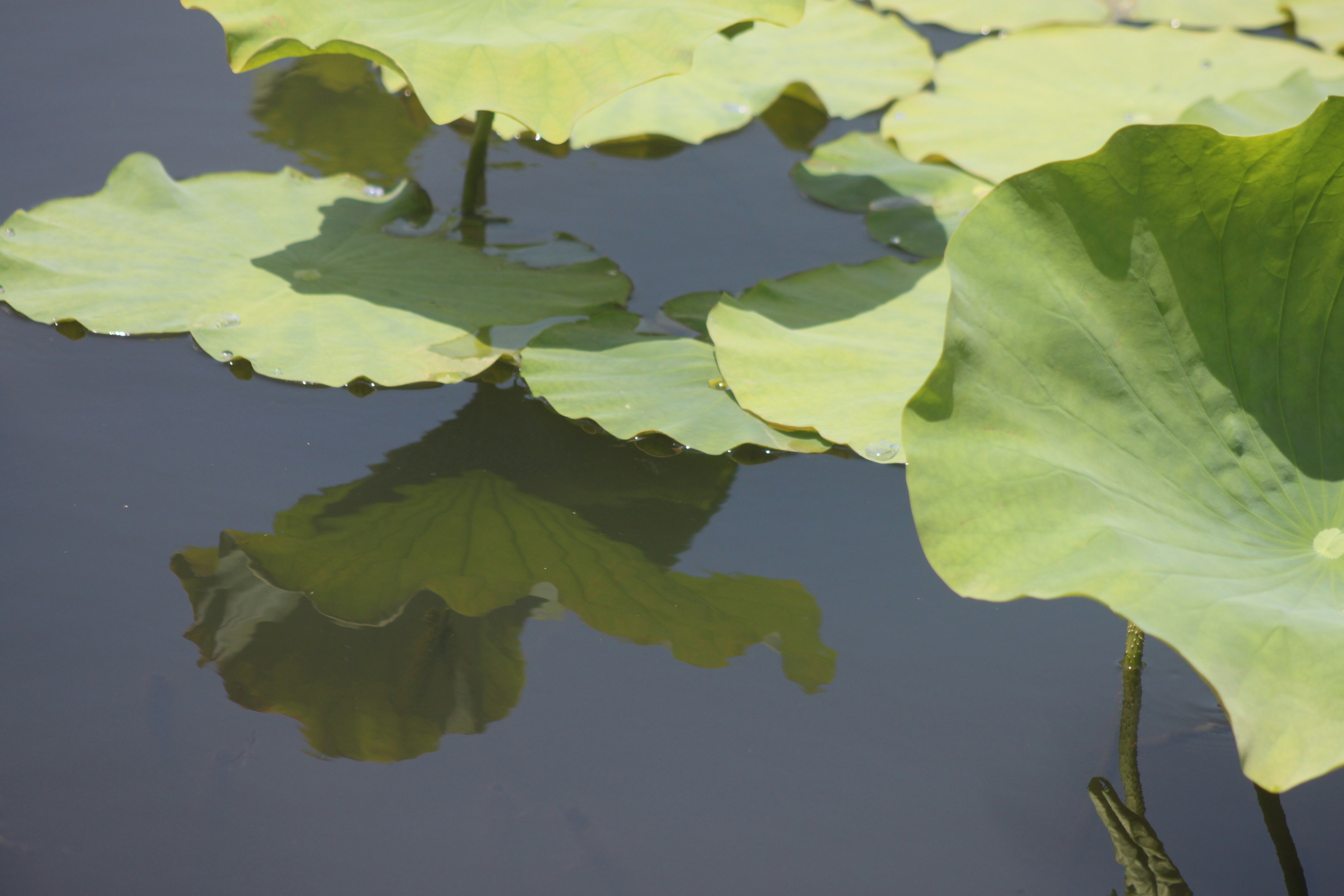 Photo by rubyphotography