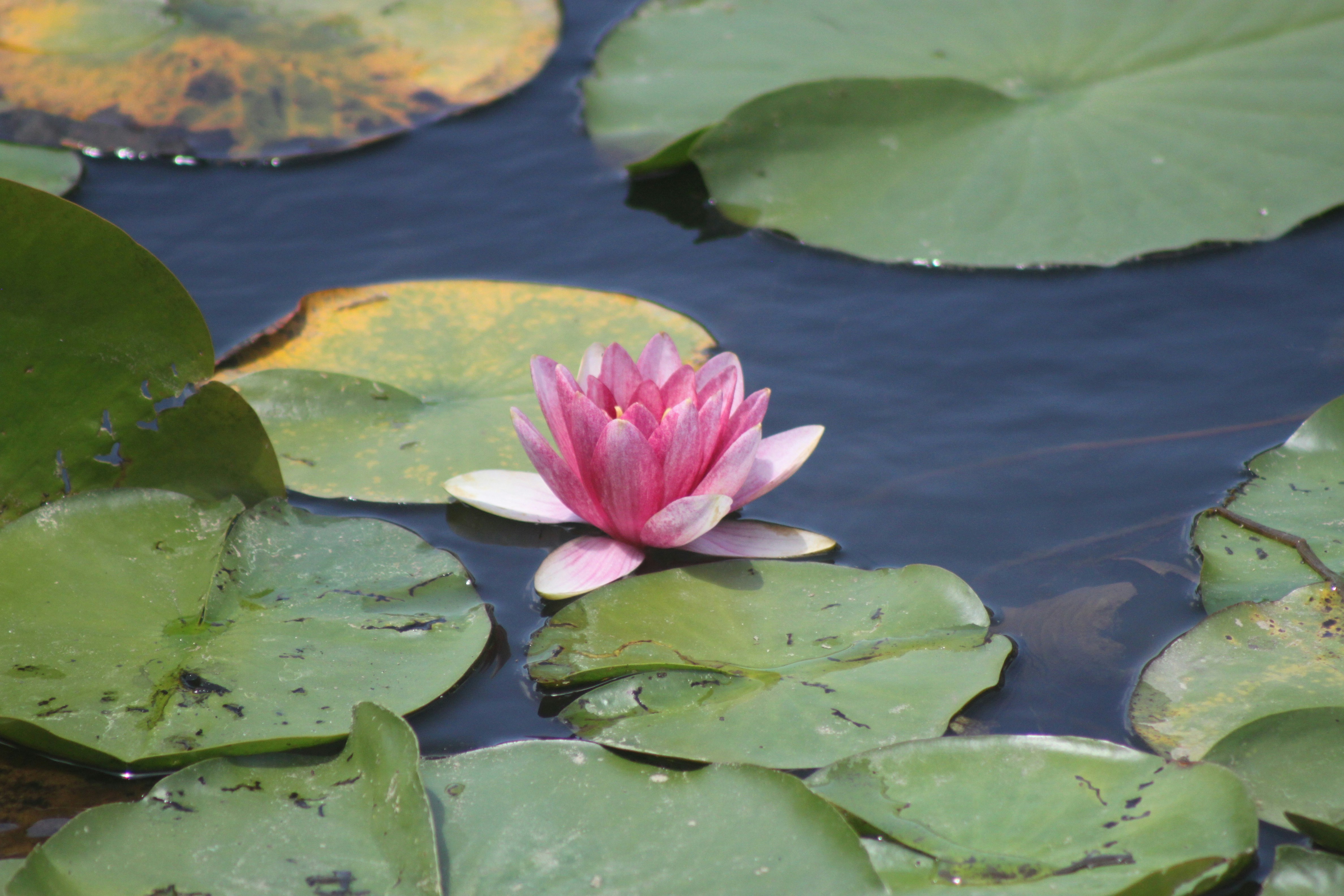 Photo by rubyphotography