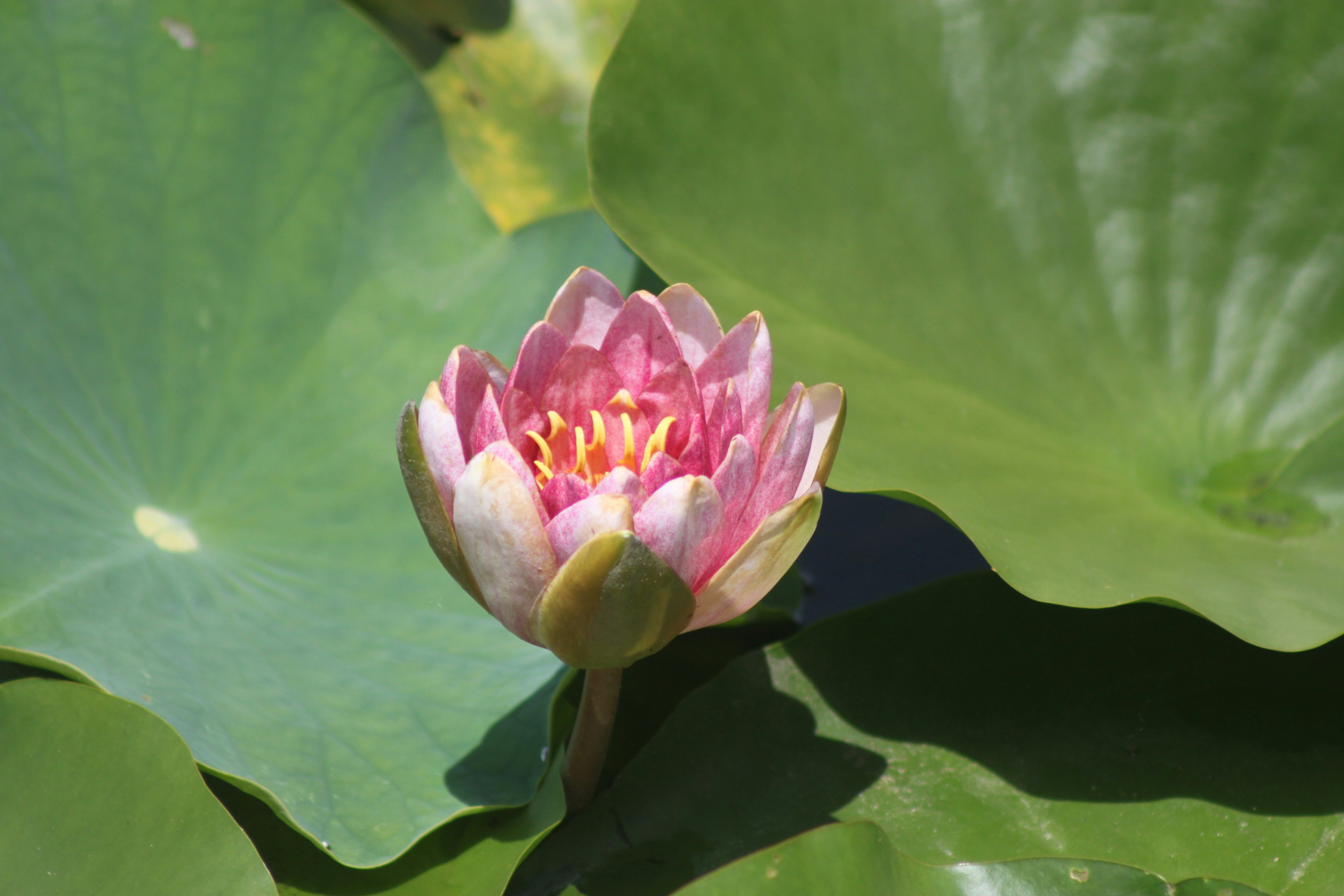 Photo by rubyphotography