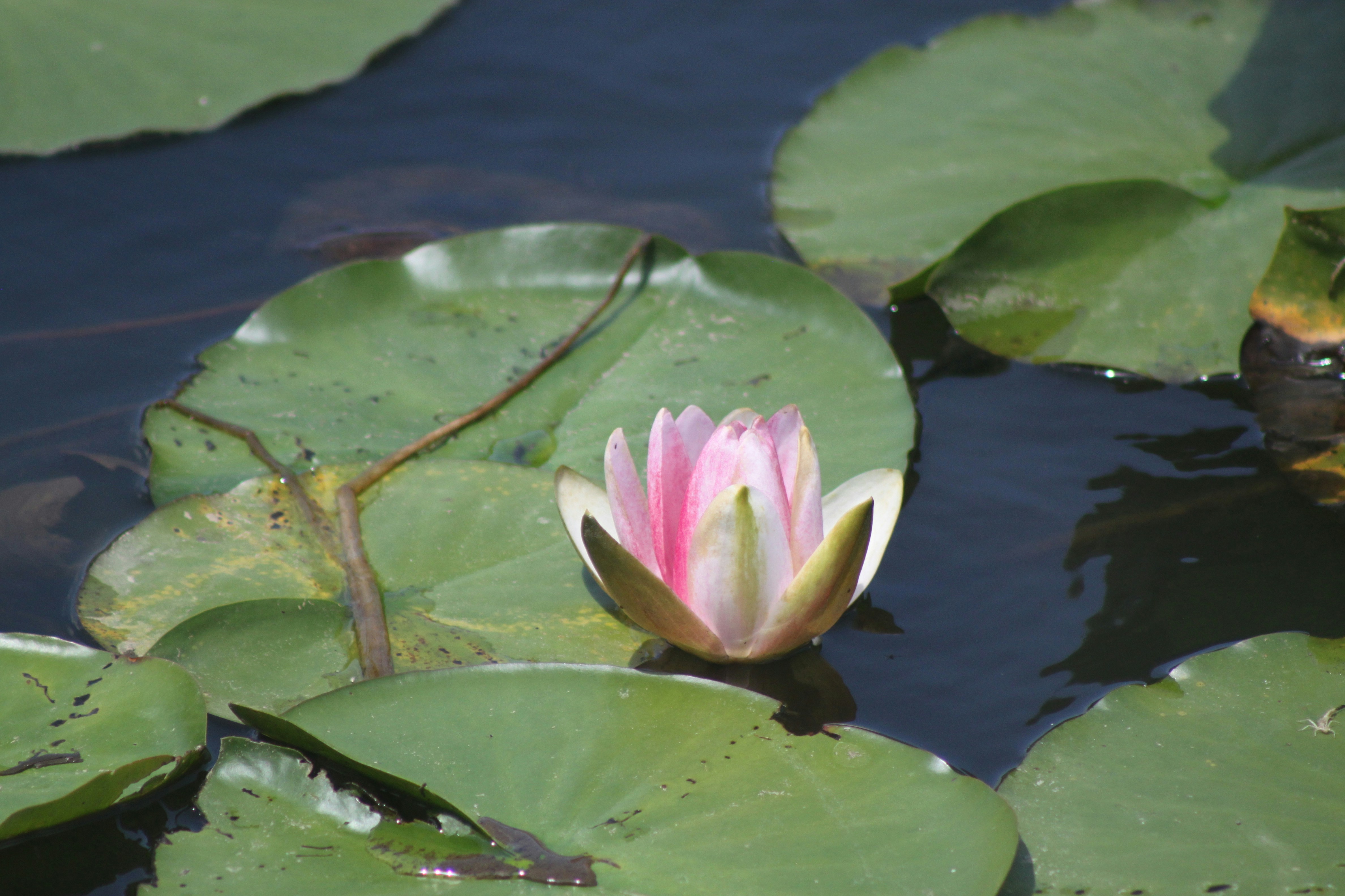 Photo by rubyphotography