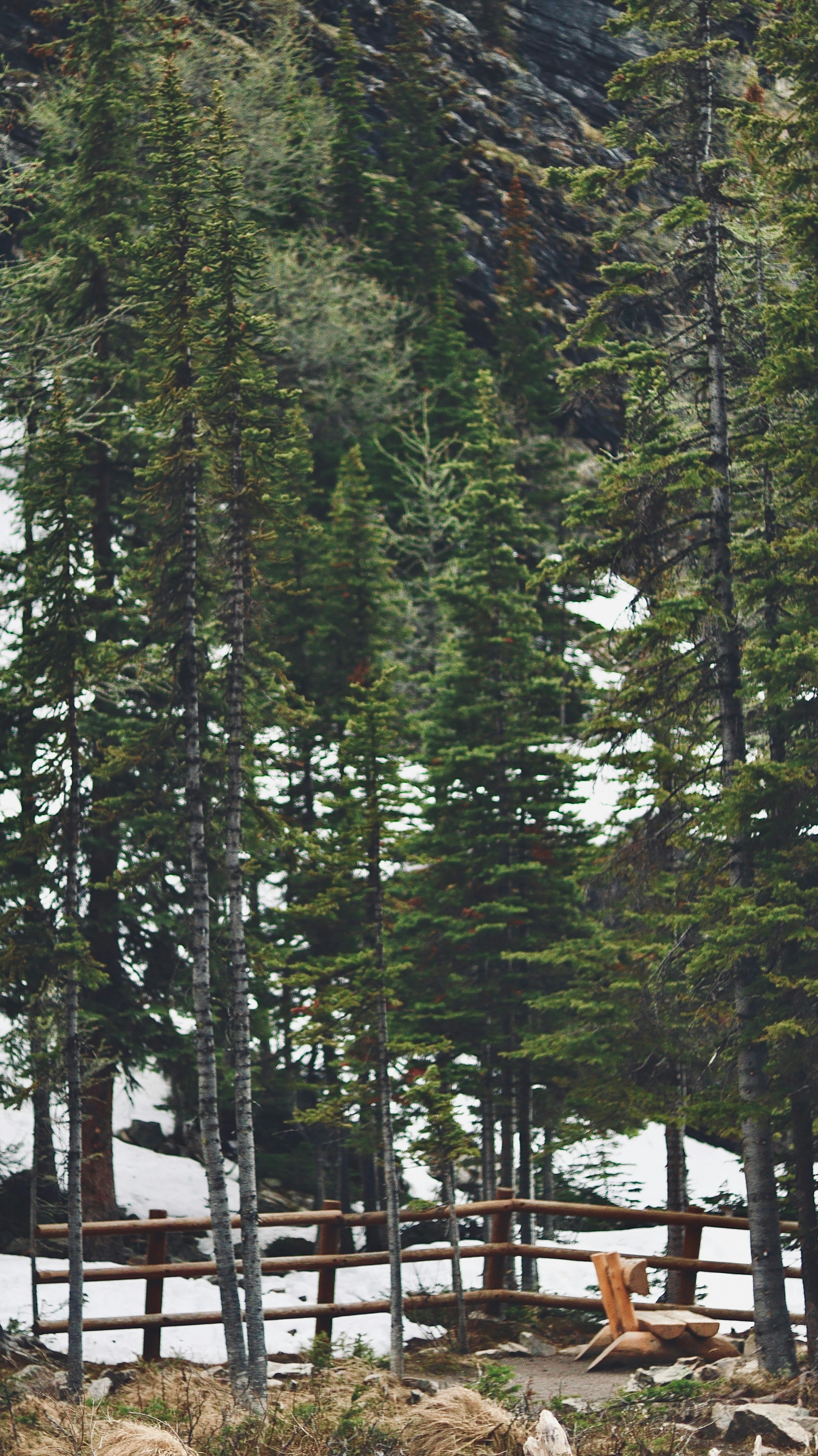 Photo by sangam_sharma