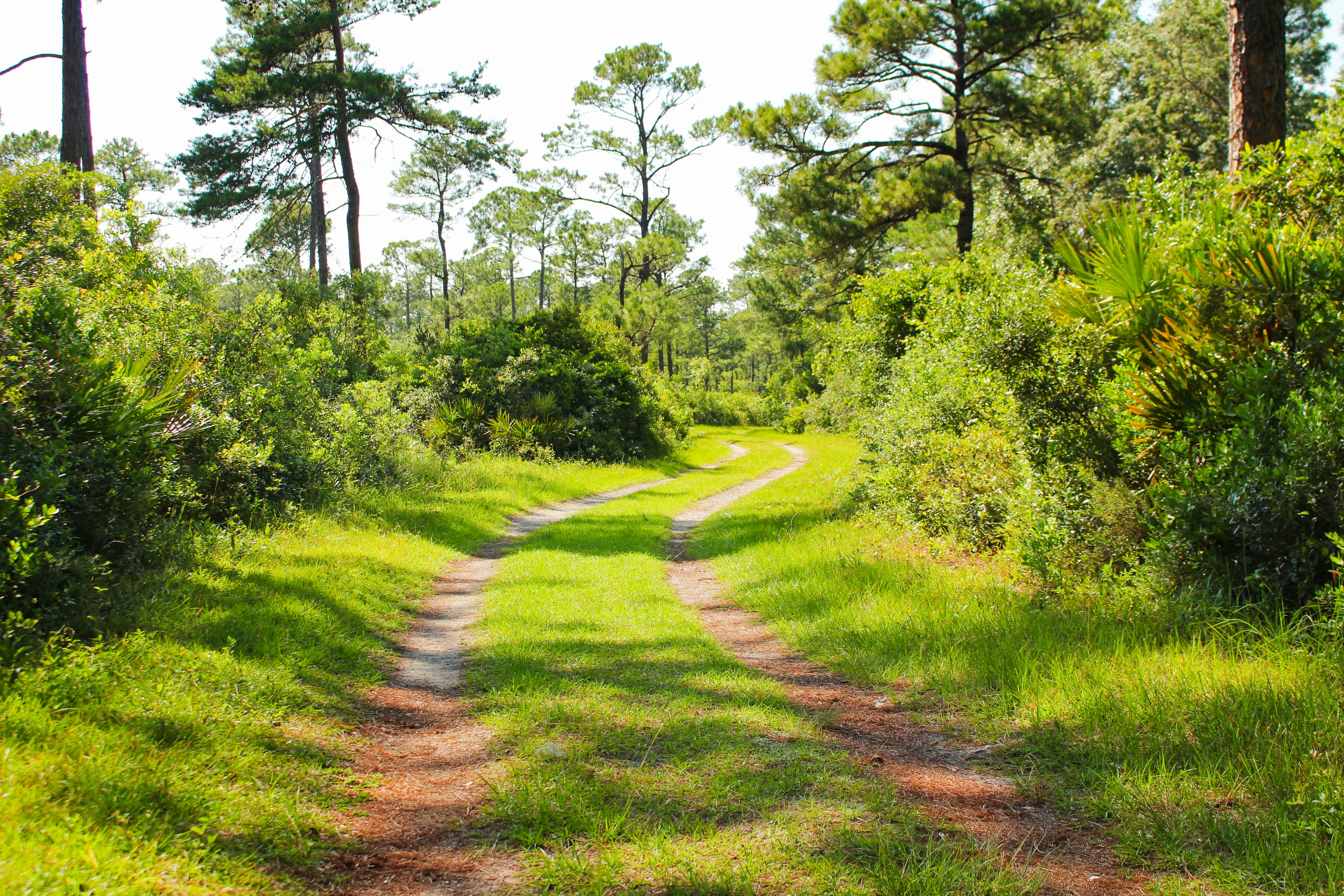 Photo by elijahaustin