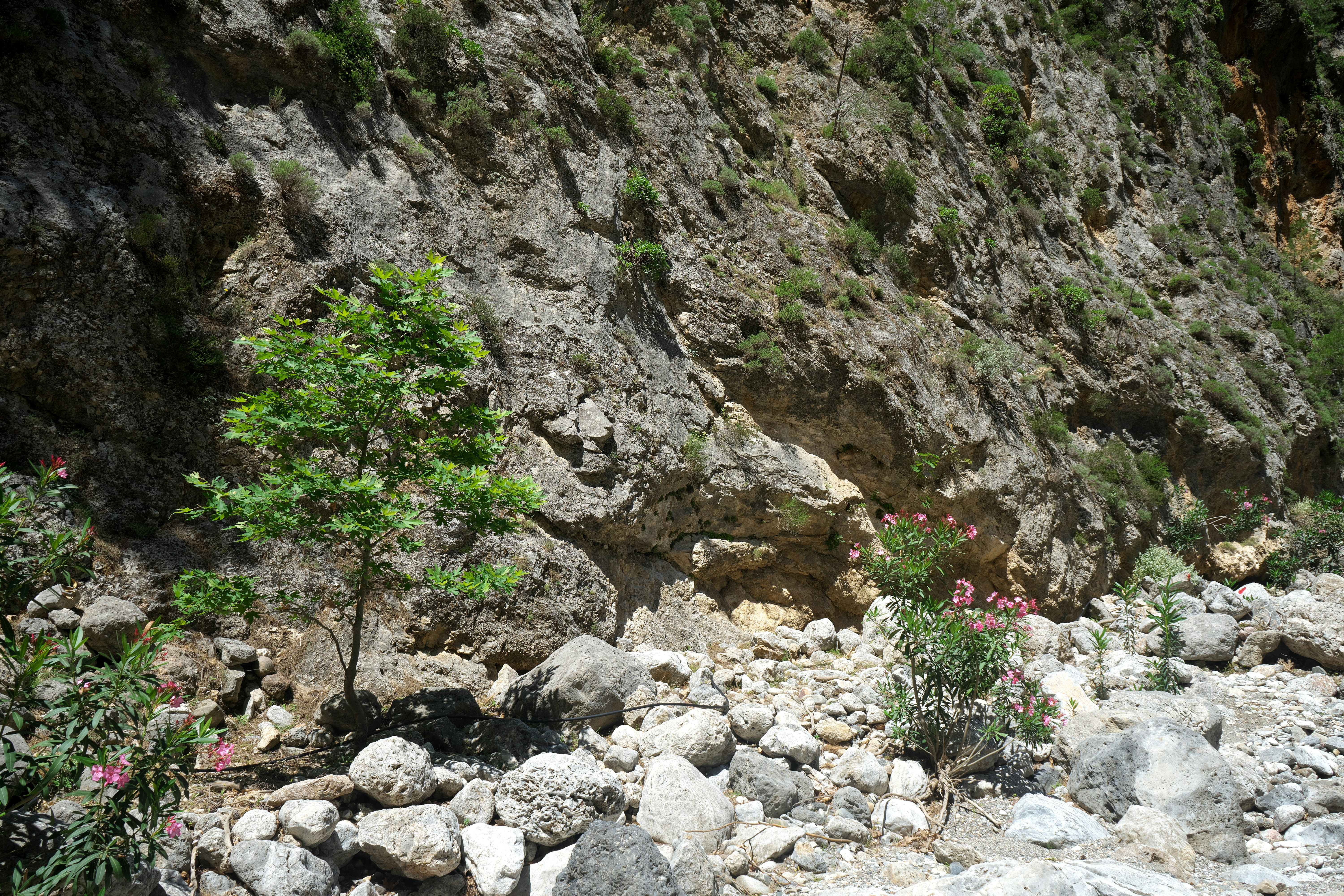 Hiking with kids Crete: Exploring Samaria Gorge with Kids