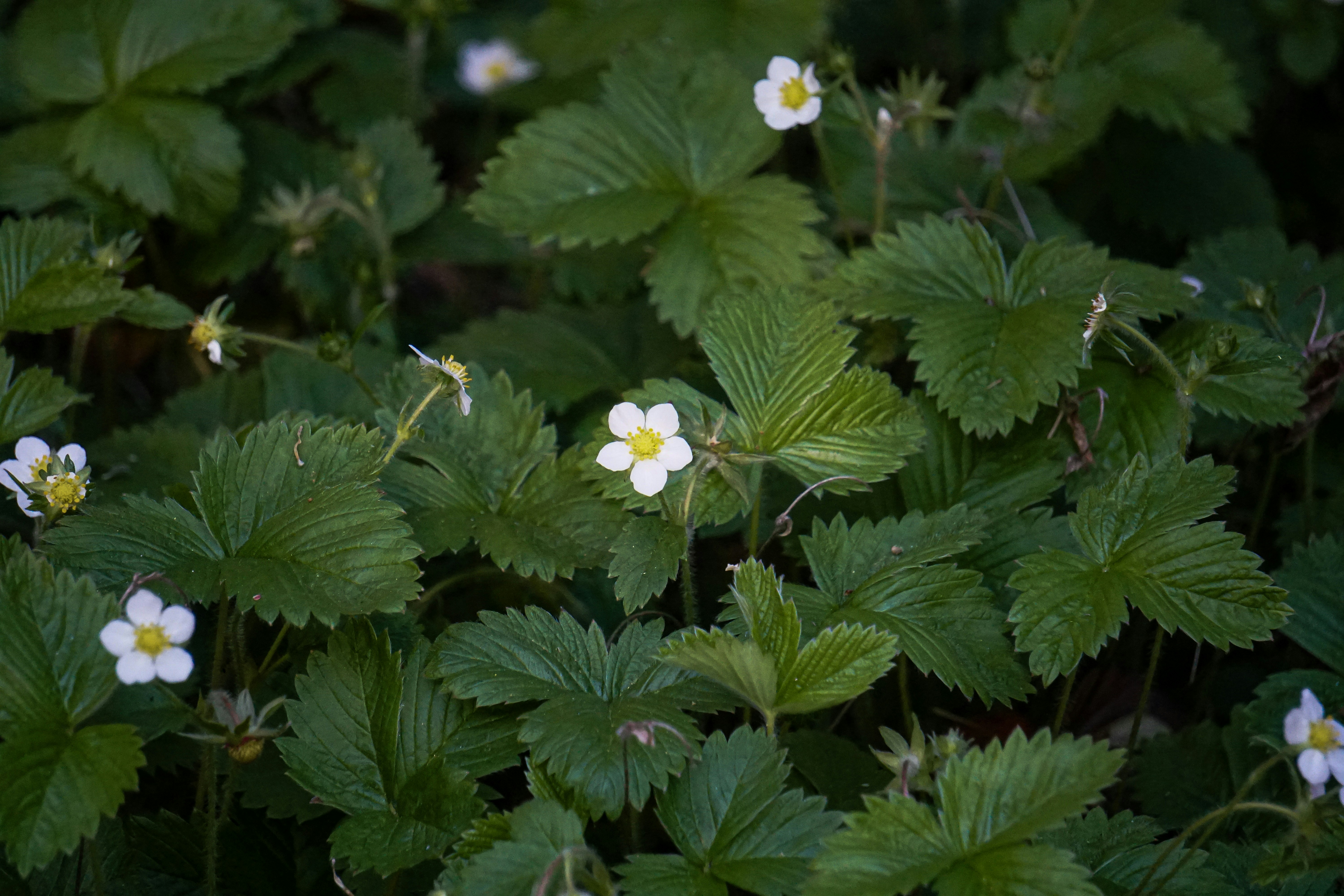 Photo by pmayorphotos