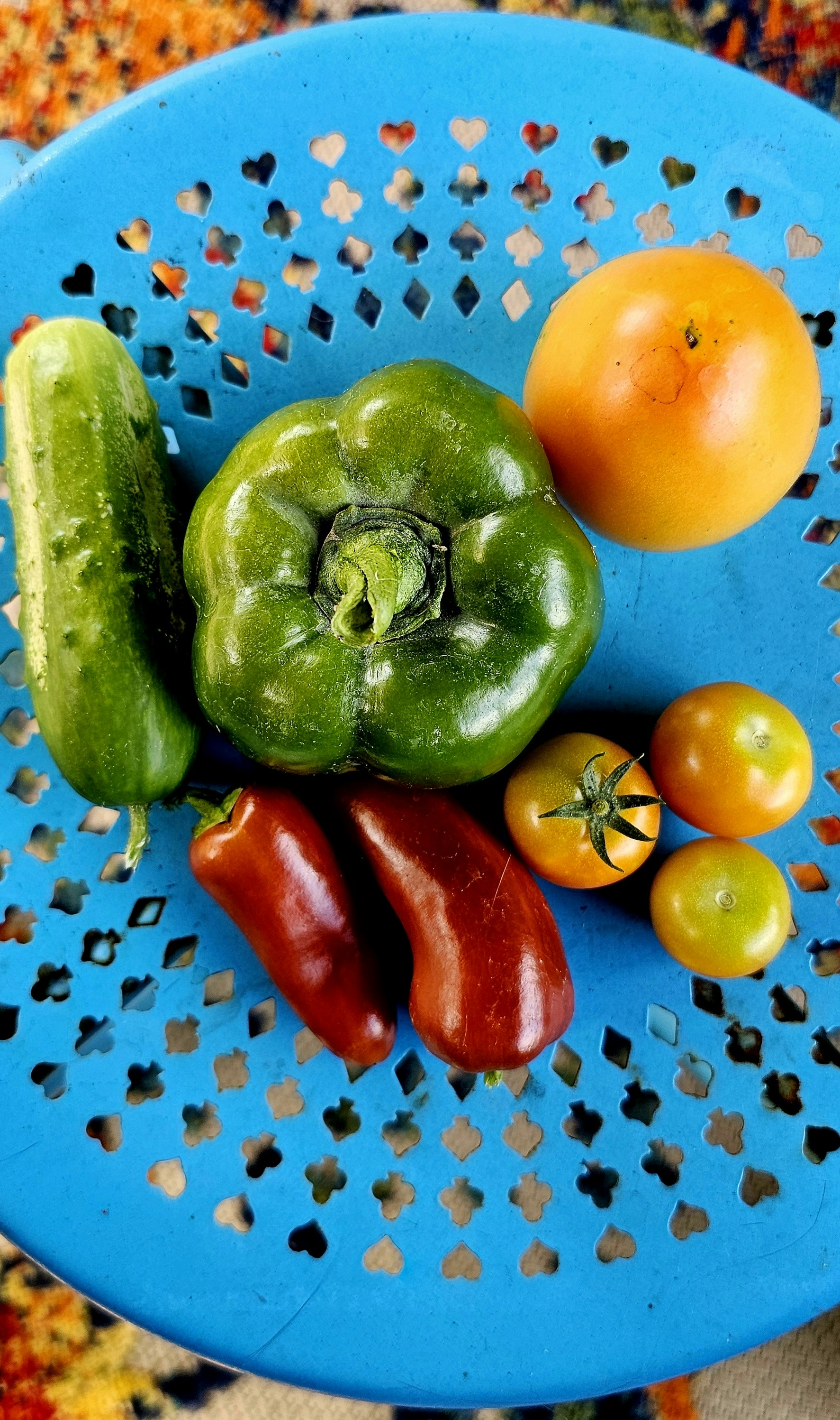 Fresh organic vegetables including tomatoes, lettuce, and peppers displayed in a rustic basket