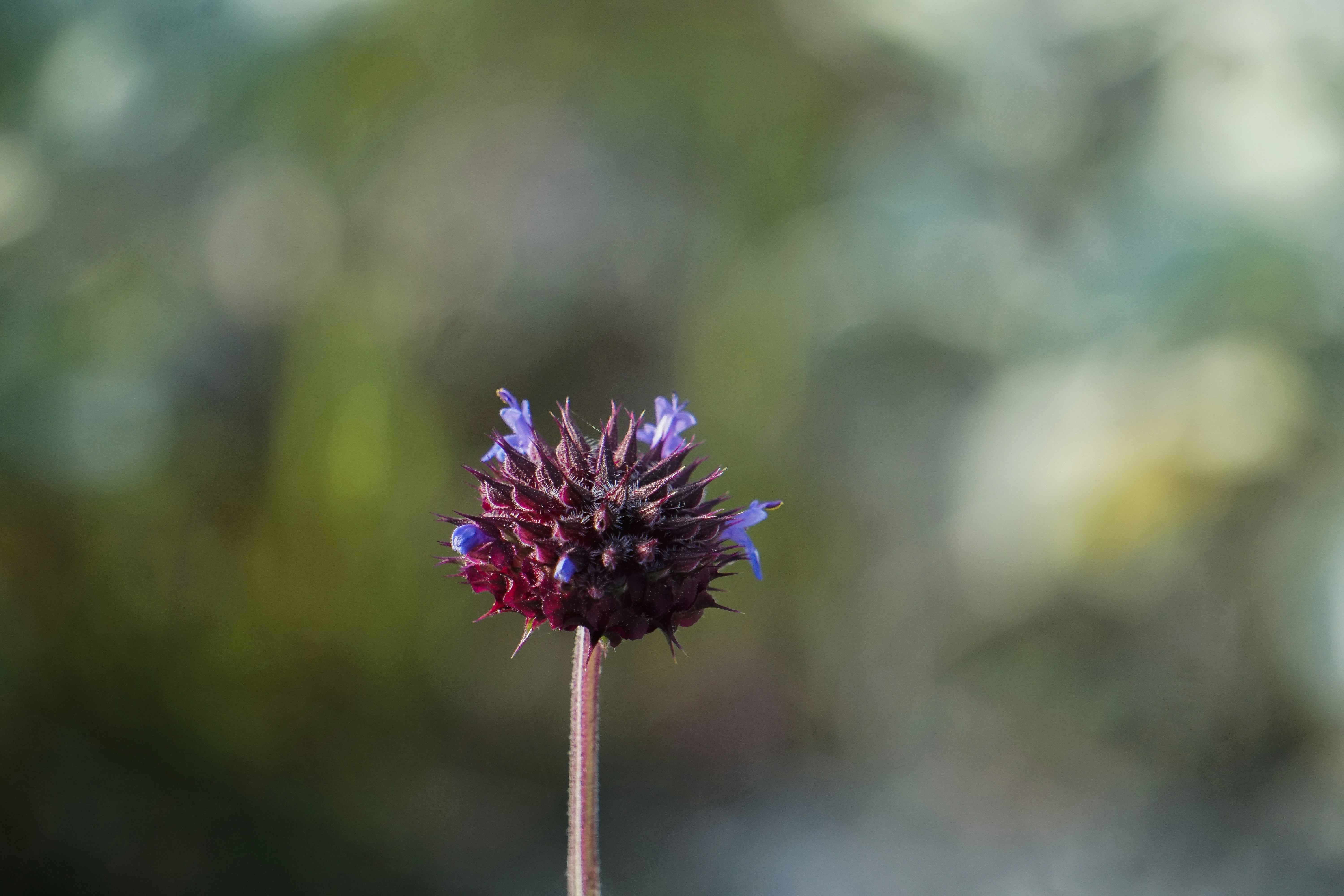 Photo by pmayorphotos