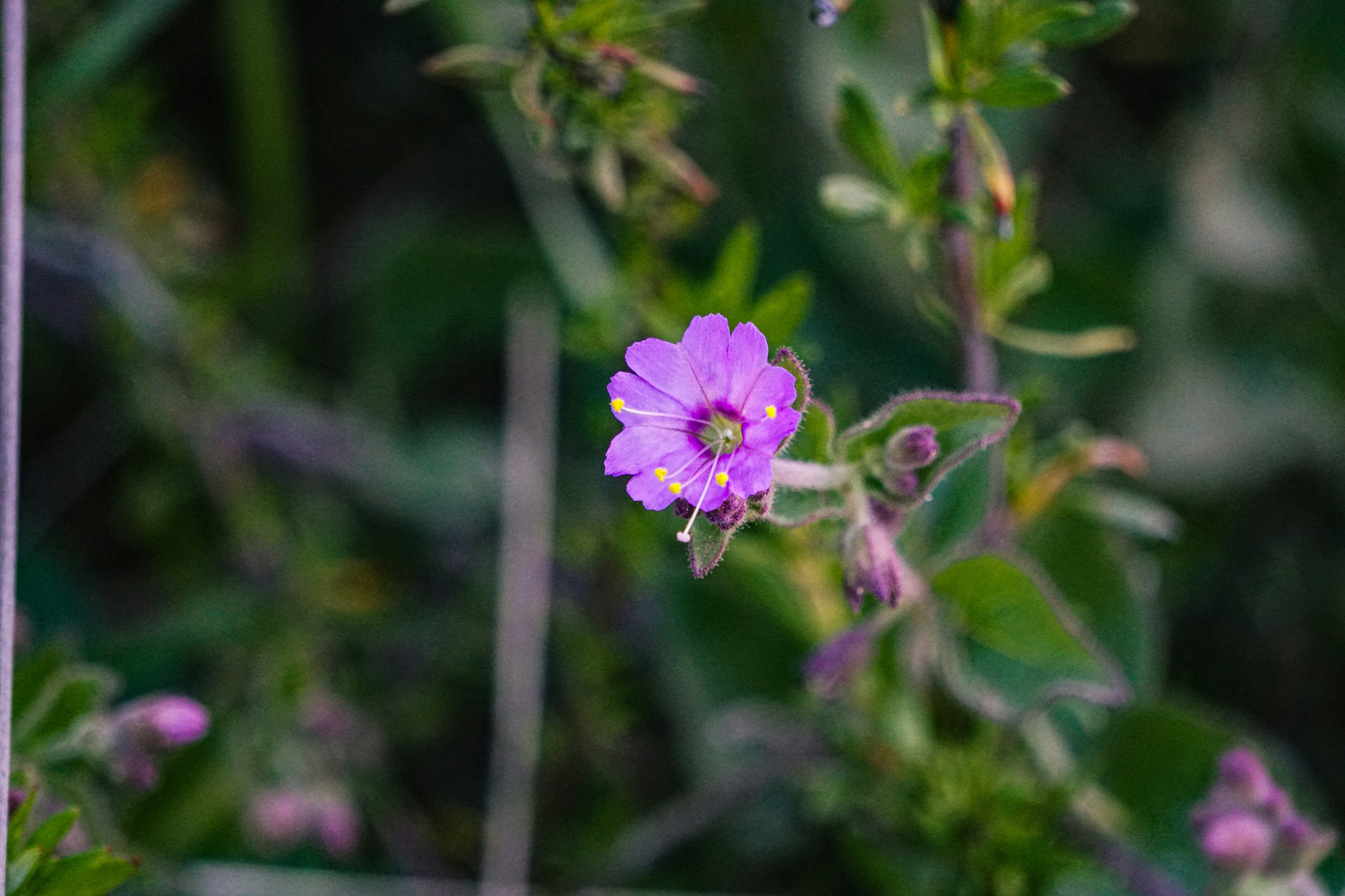 Photo by pmayorphotos