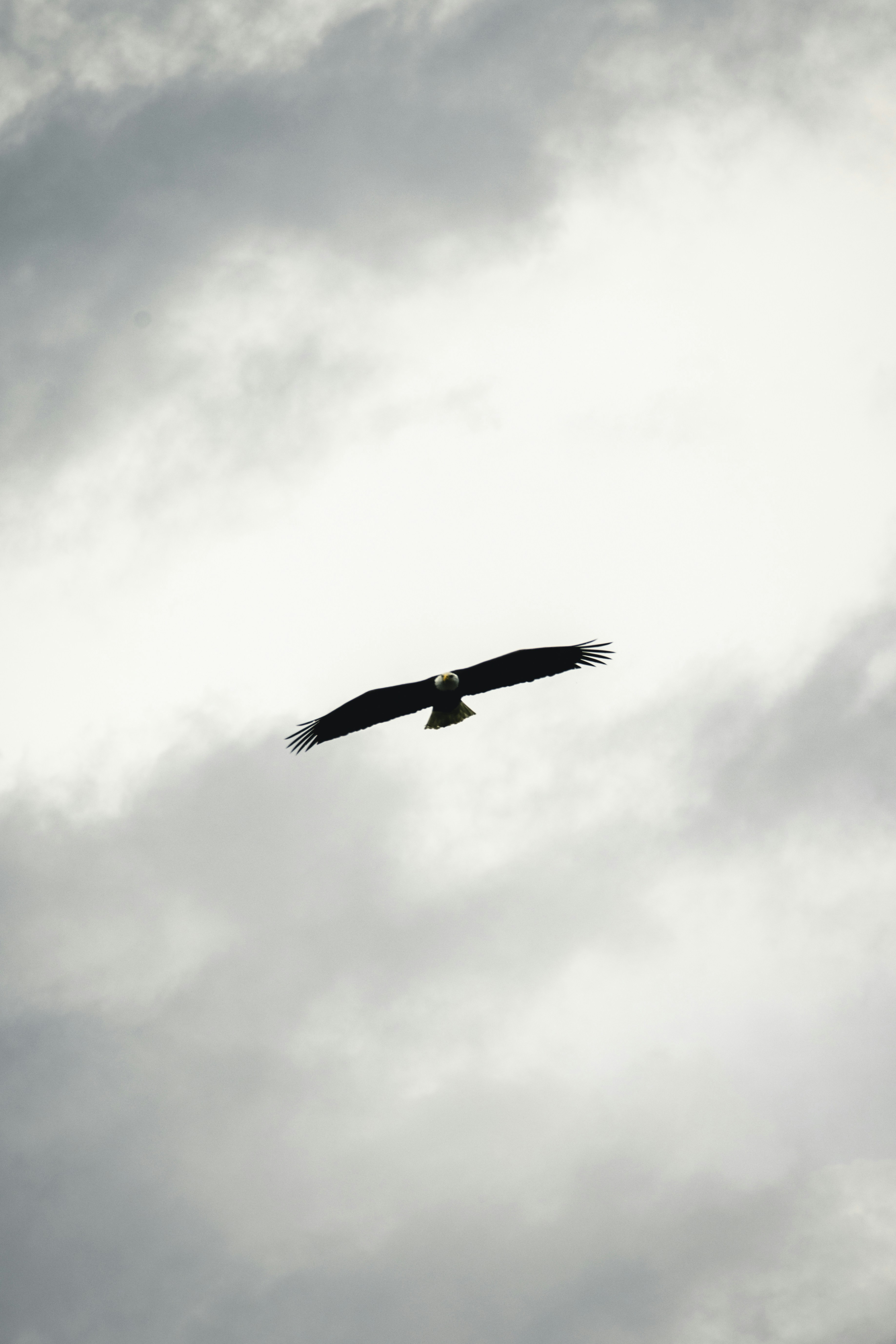 Photo by lureofadventure