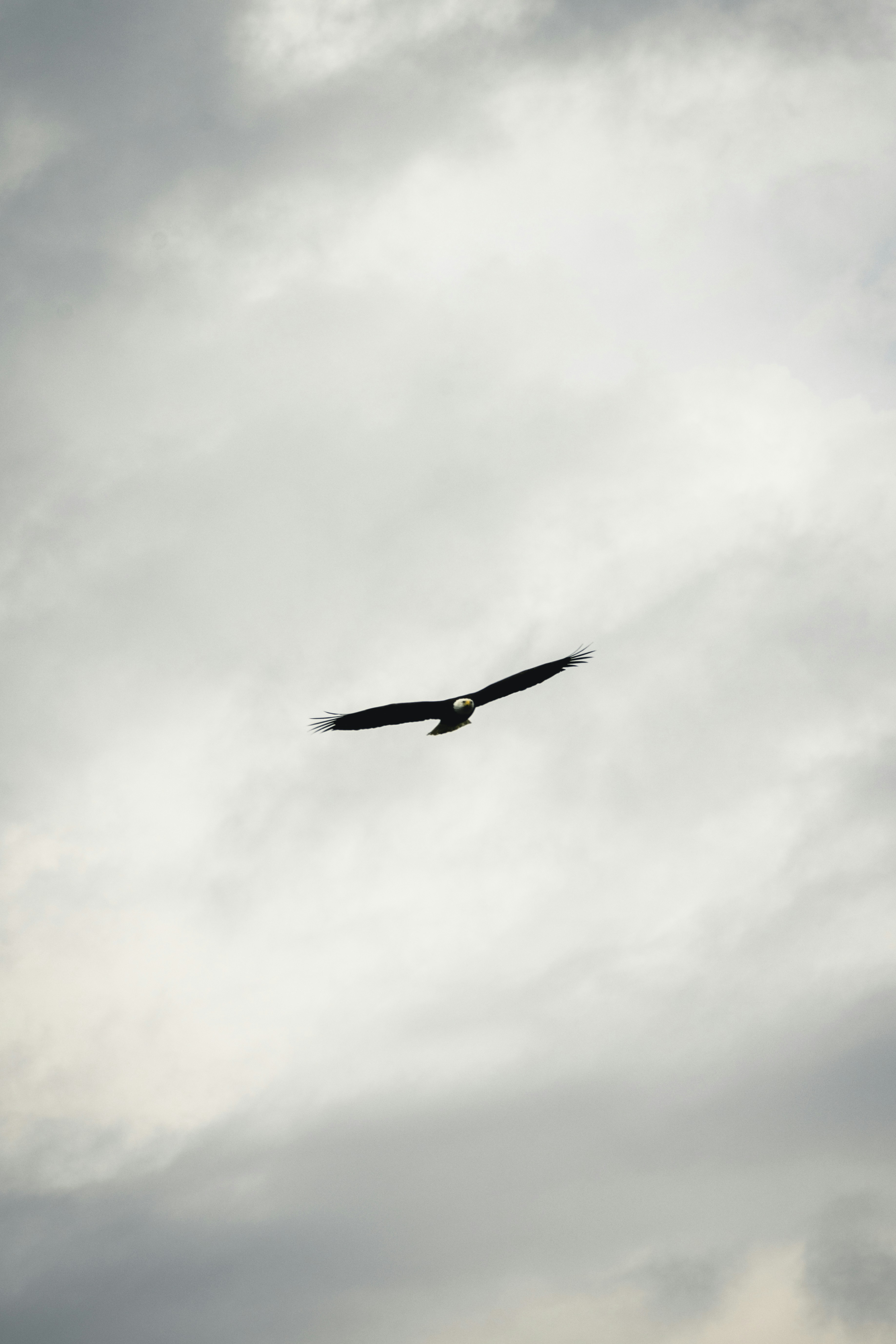 Photo by lureofadventure