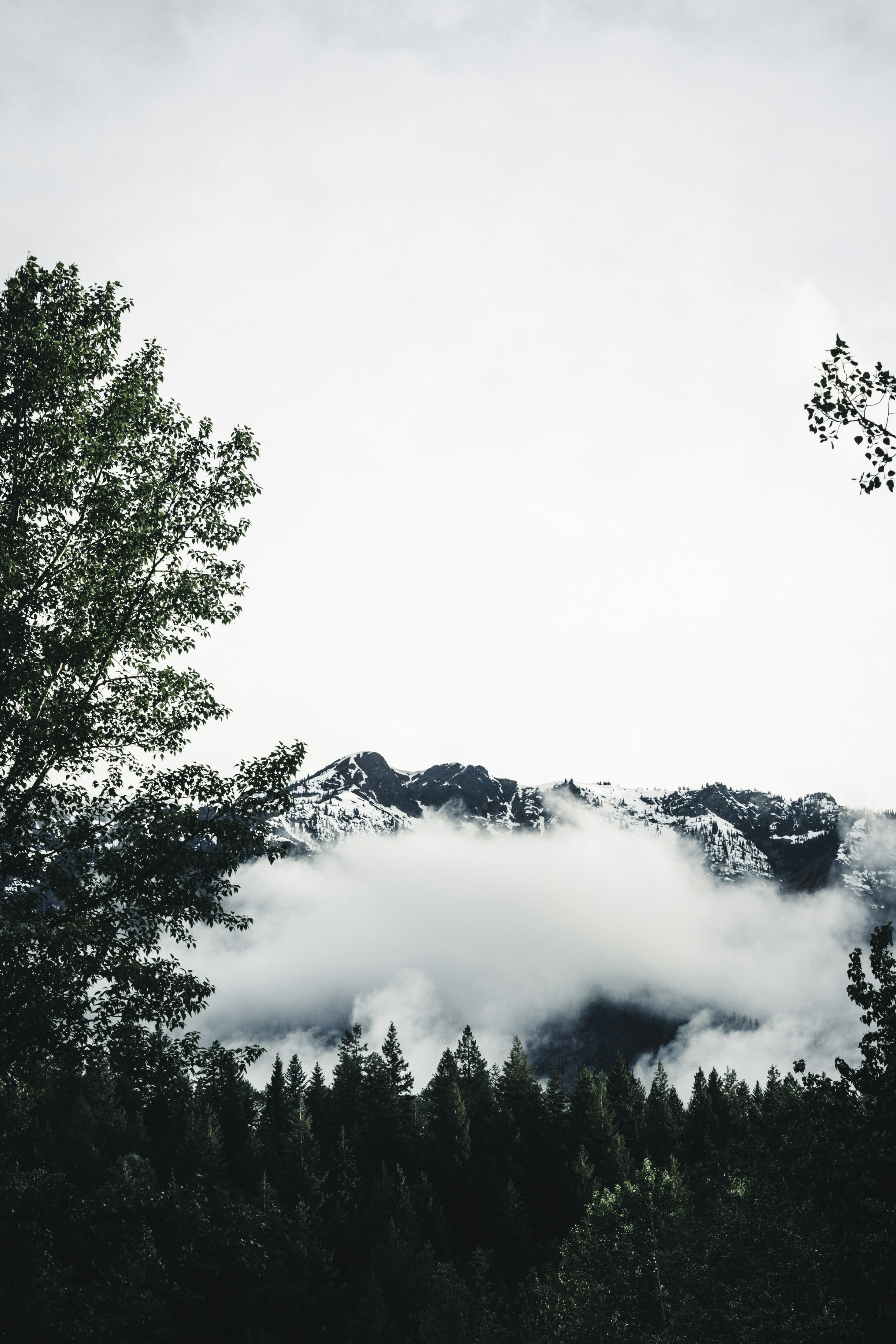 Photo by lureofadventure