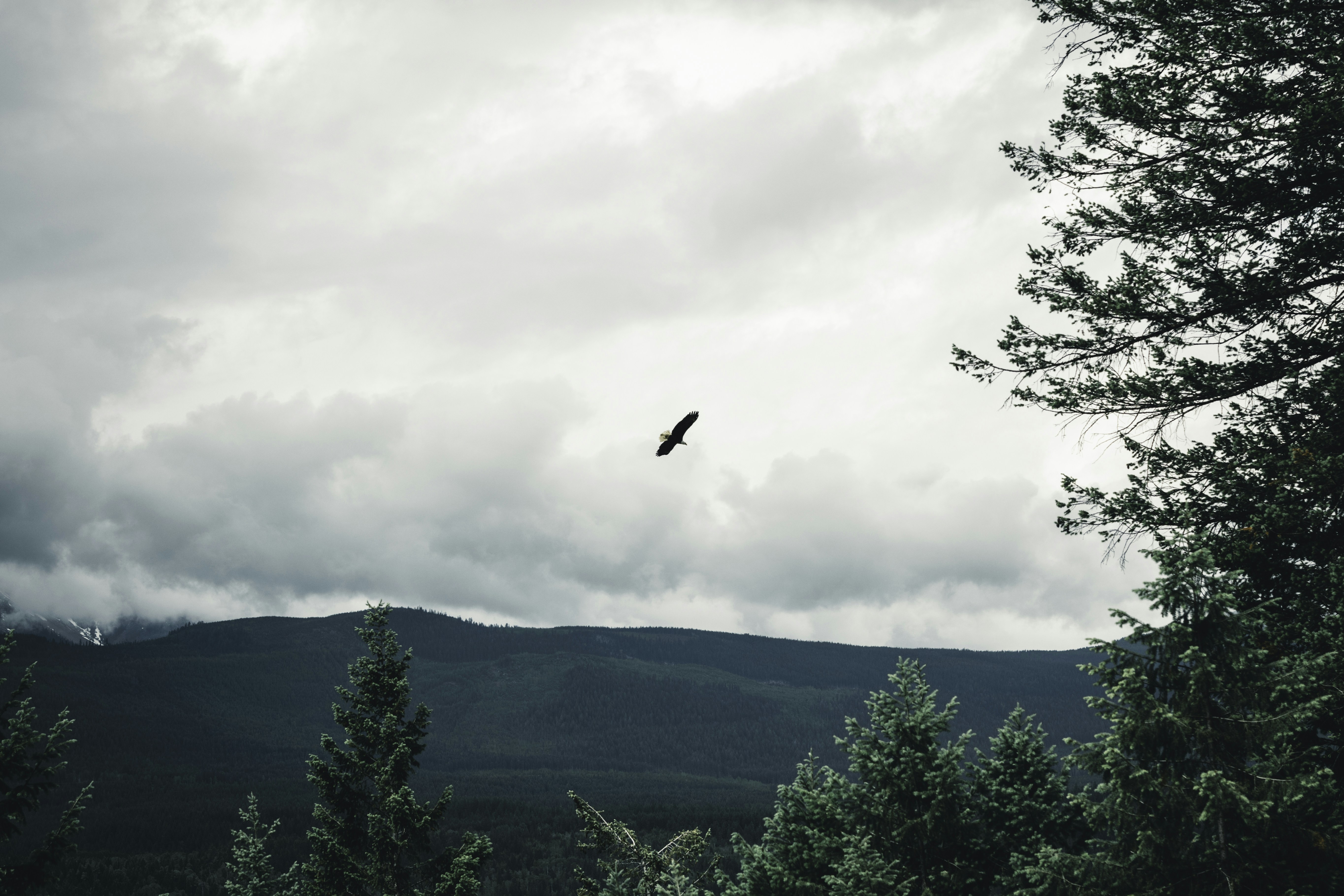Photo by lureofadventure