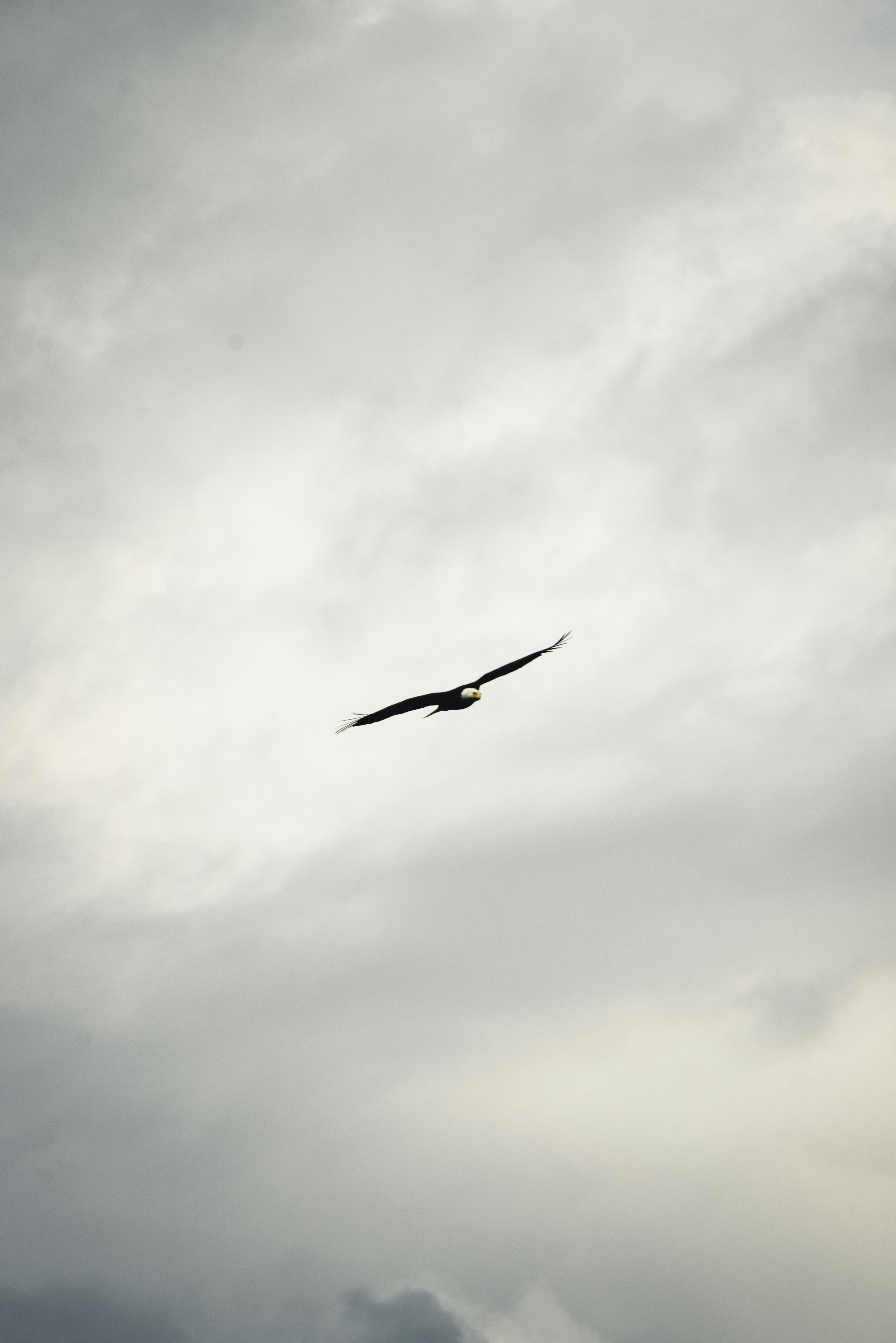 Photo by lureofadventure