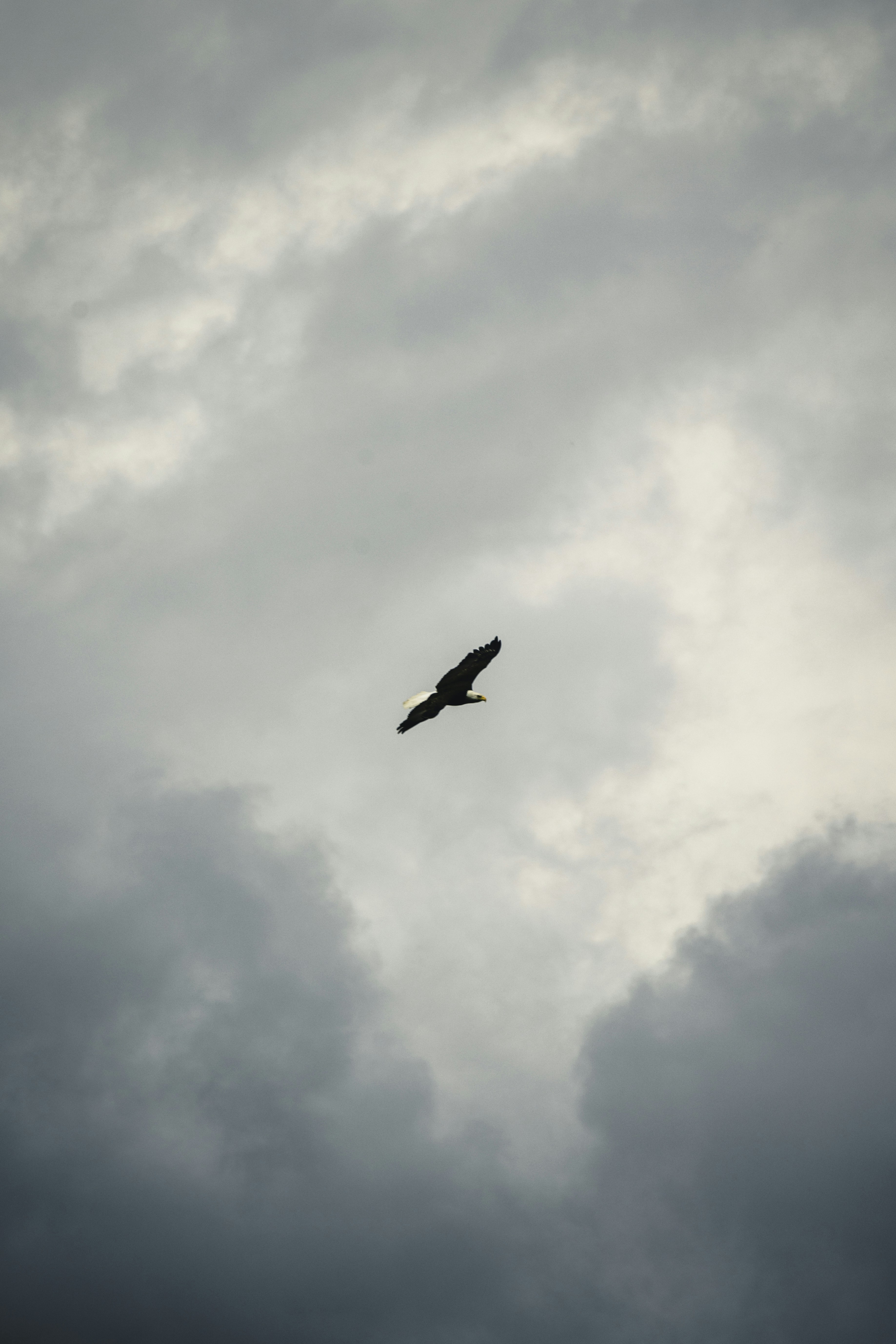 Photo by lureofadventure