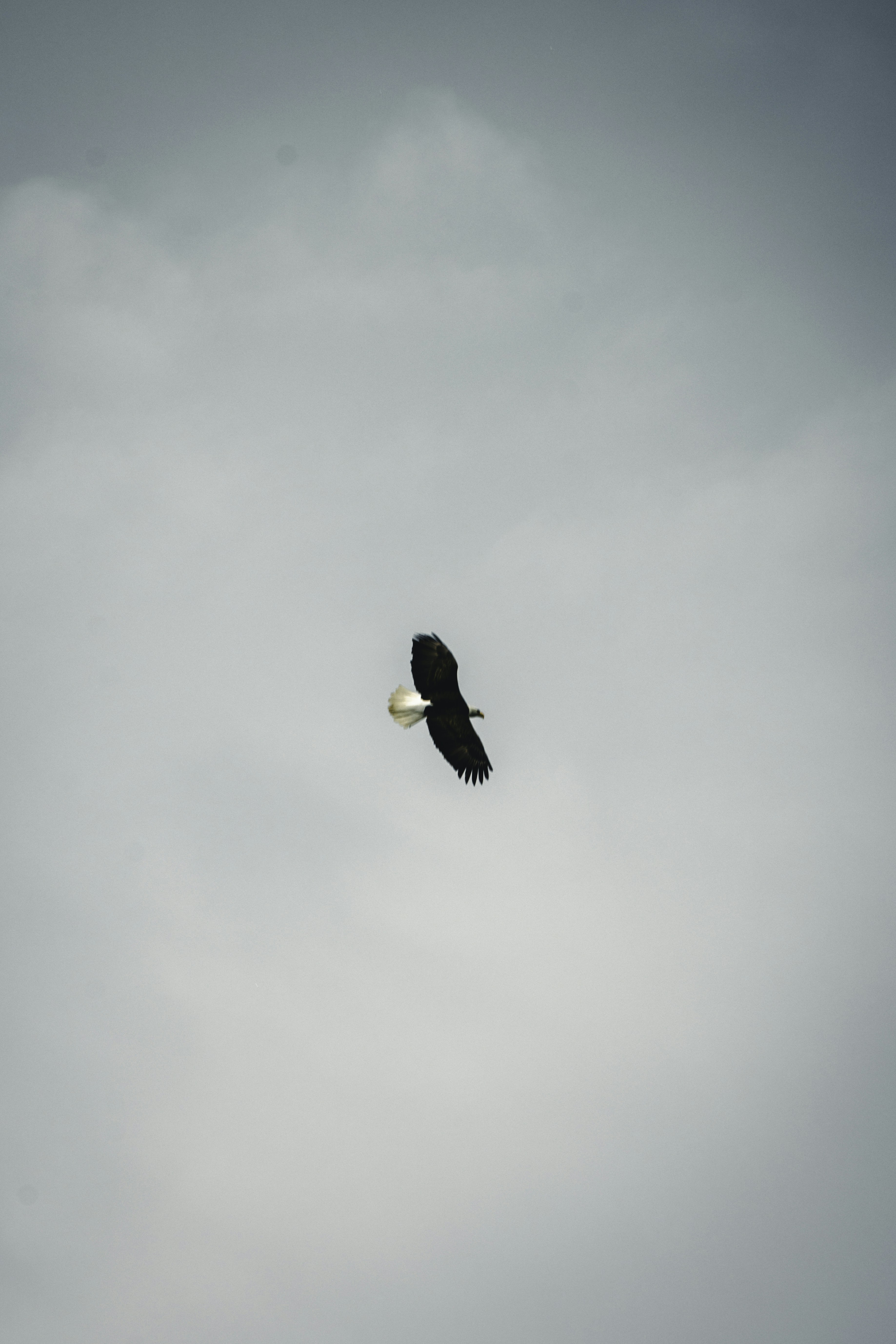 Photo by lureofadventure