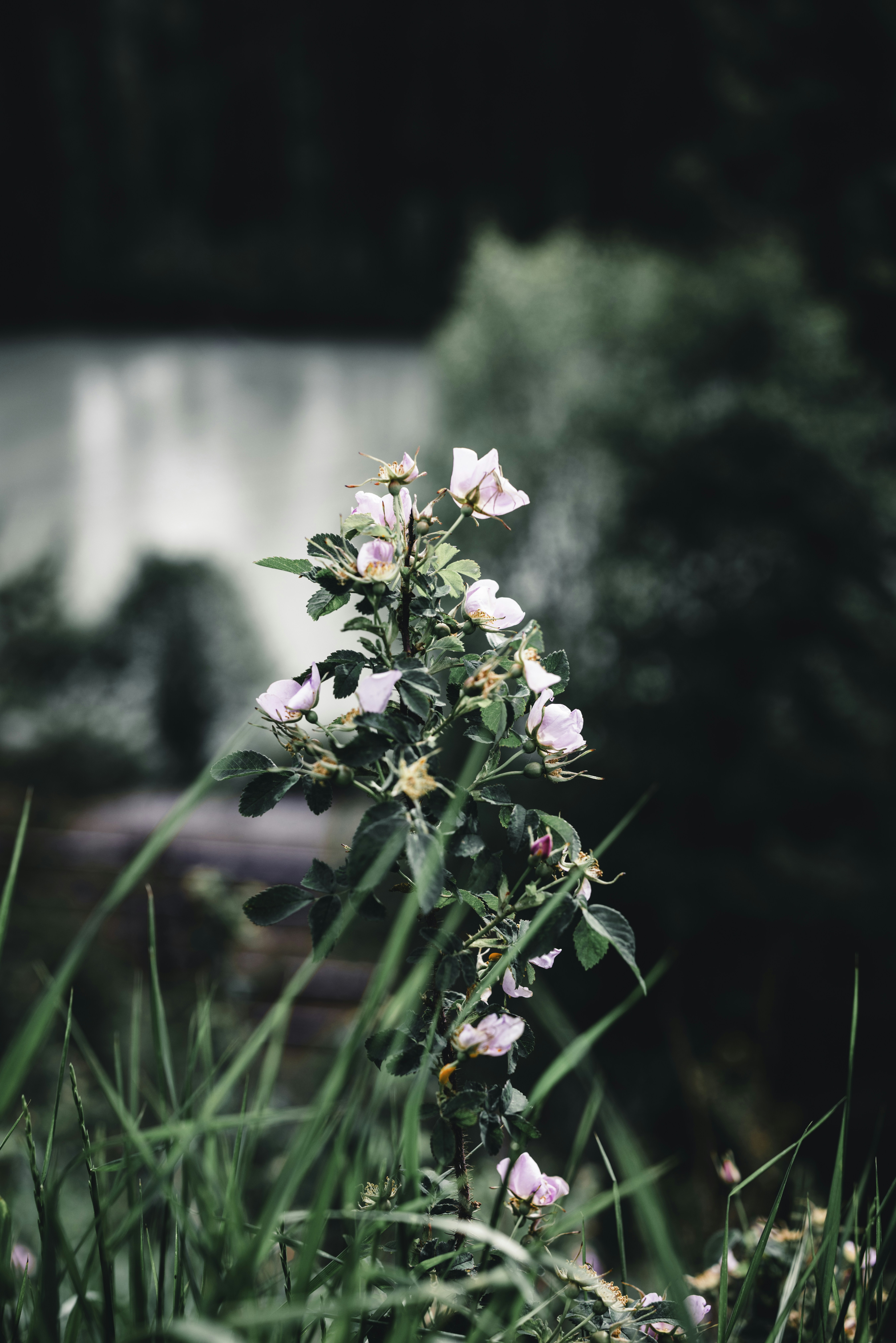 Photo by lureofadventure