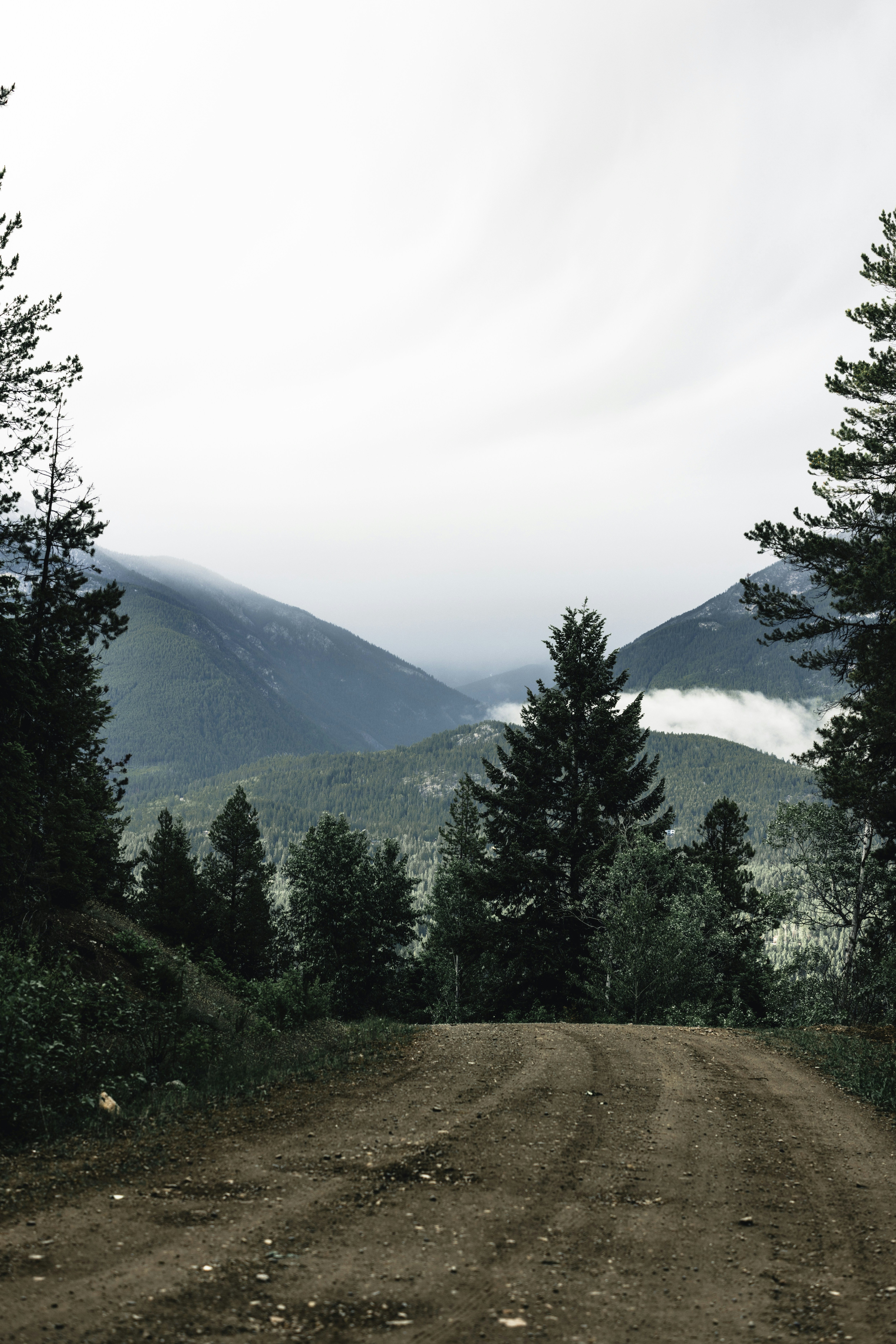 Photo by lureofadventure