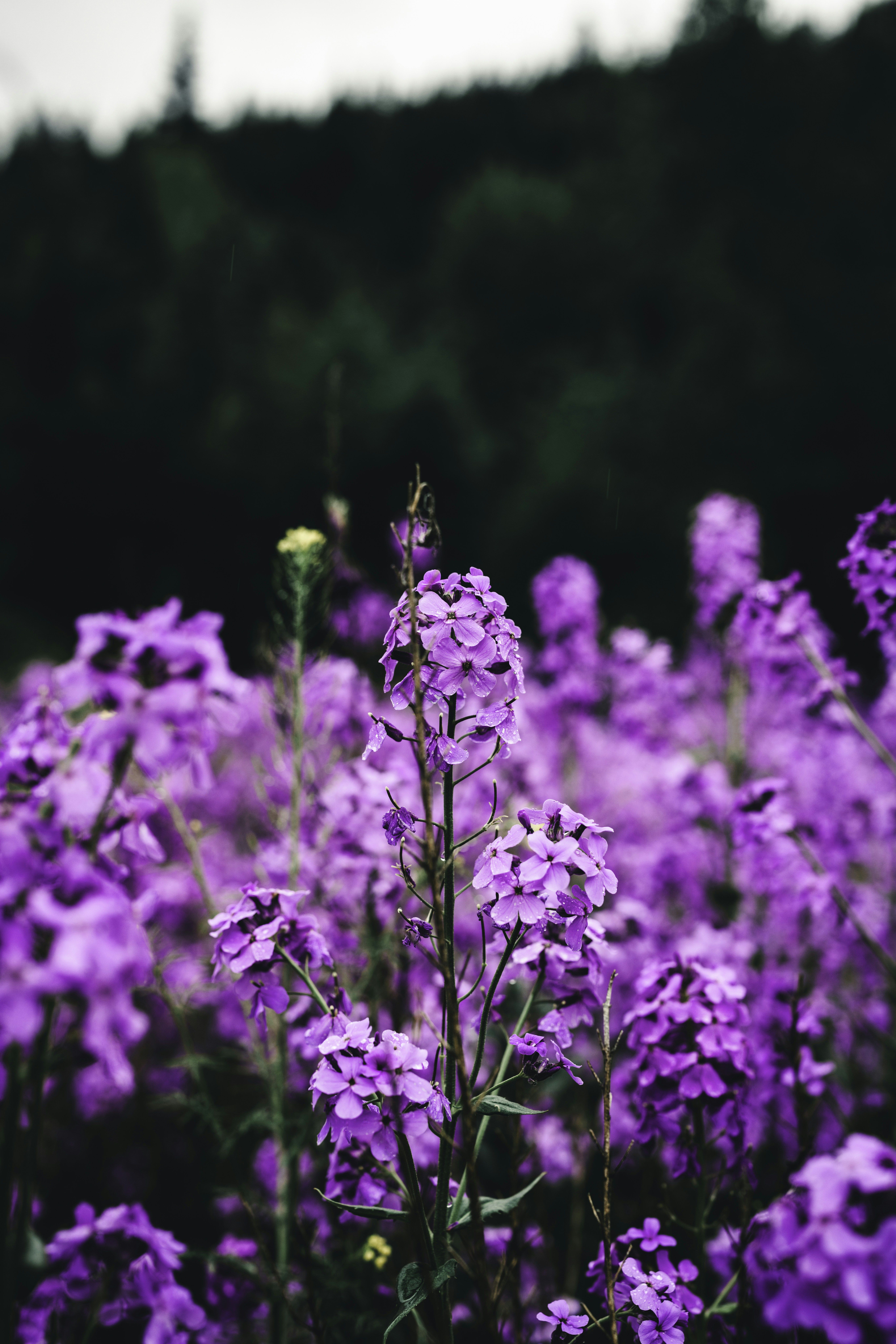 Photo by lureofadventure