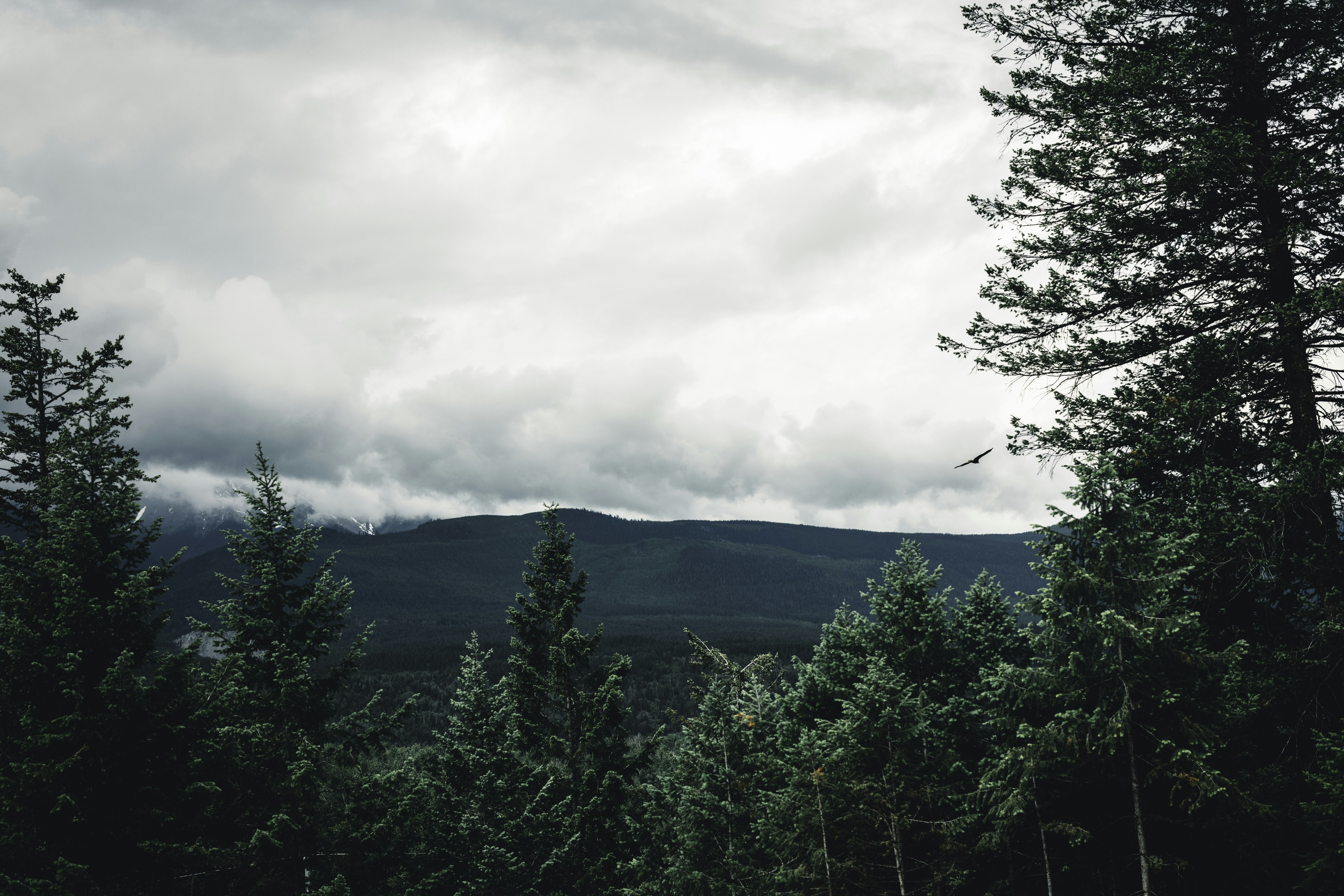 Photo by lureofadventure