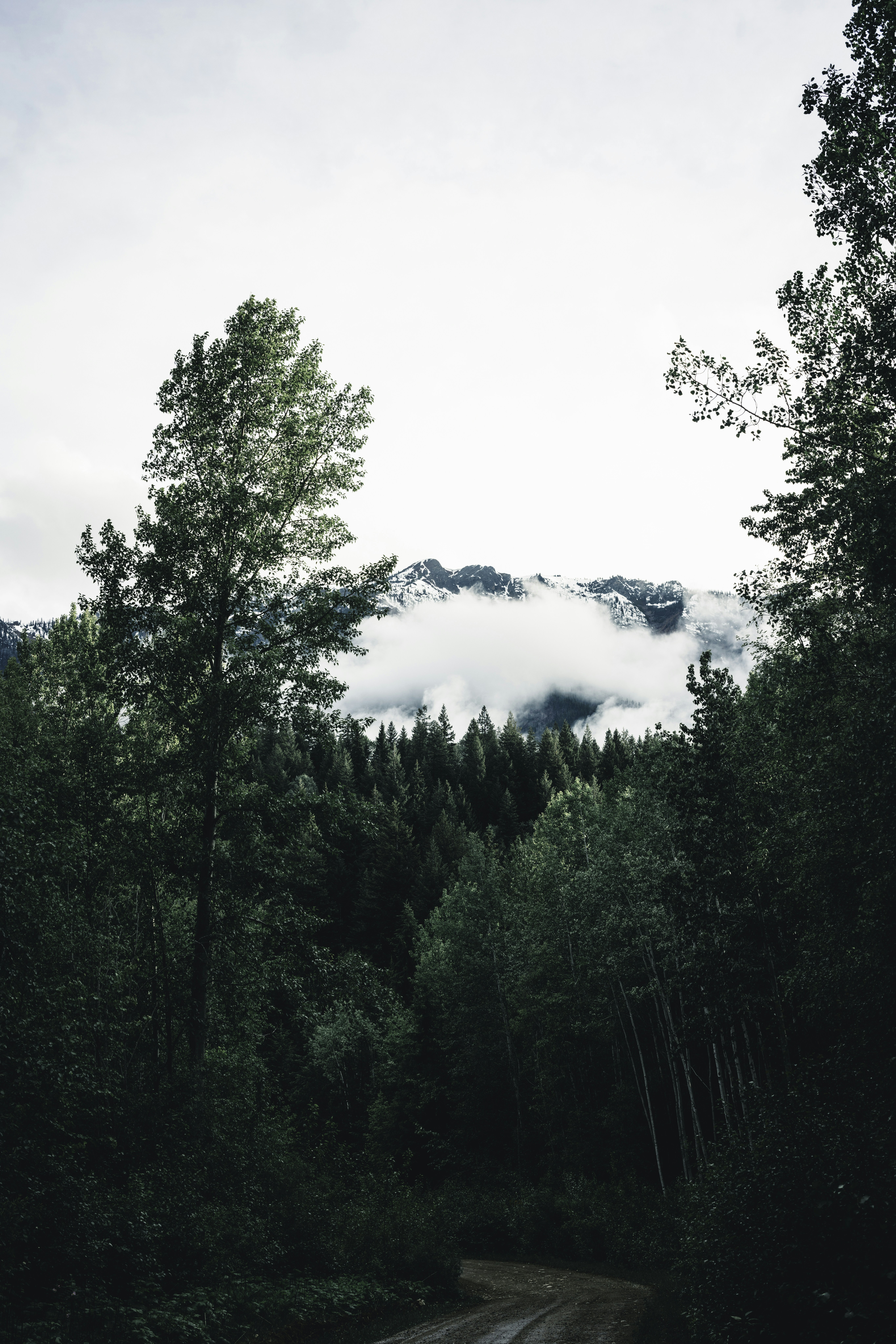 Photo by lureofadventure