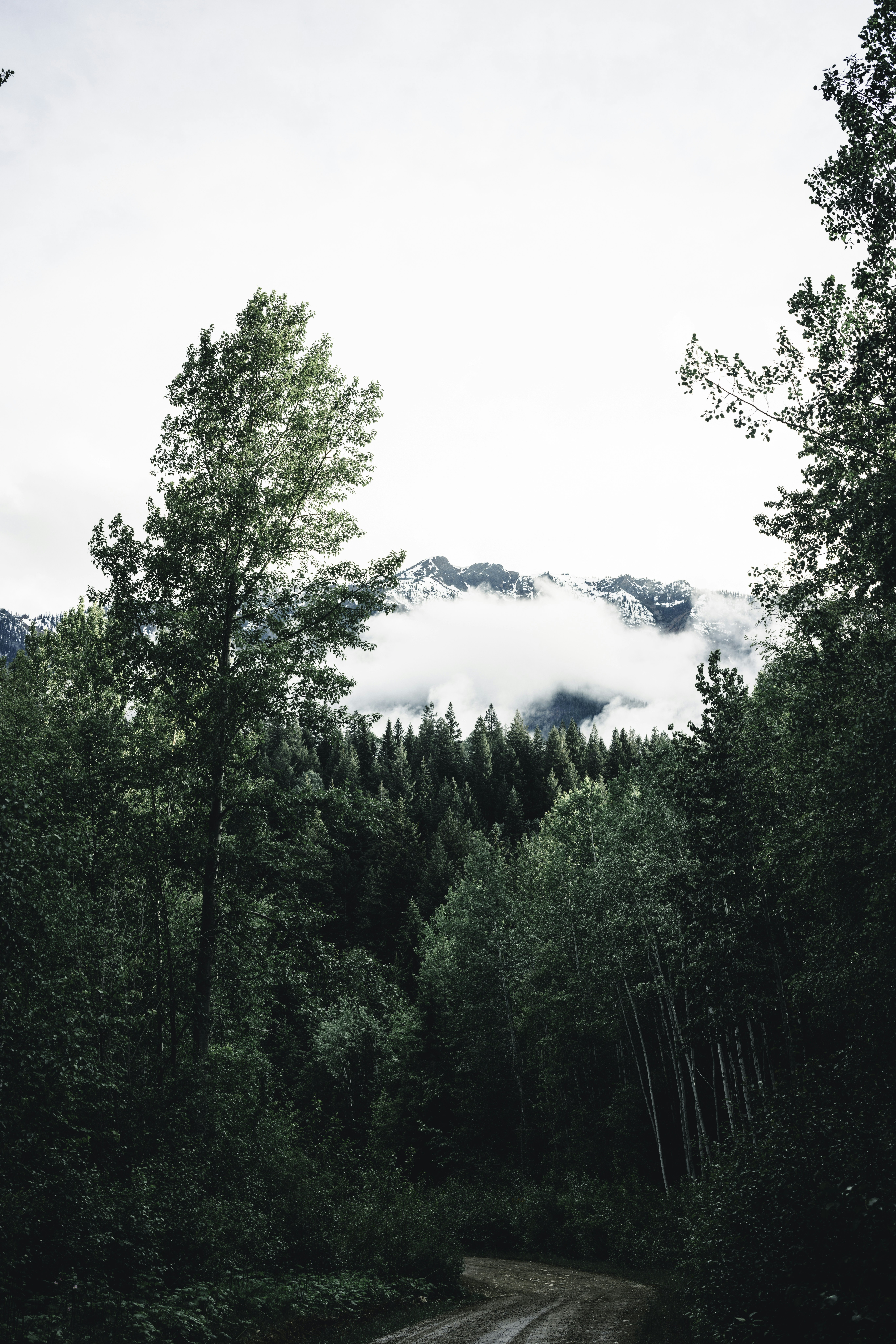 Photo by lureofadventure