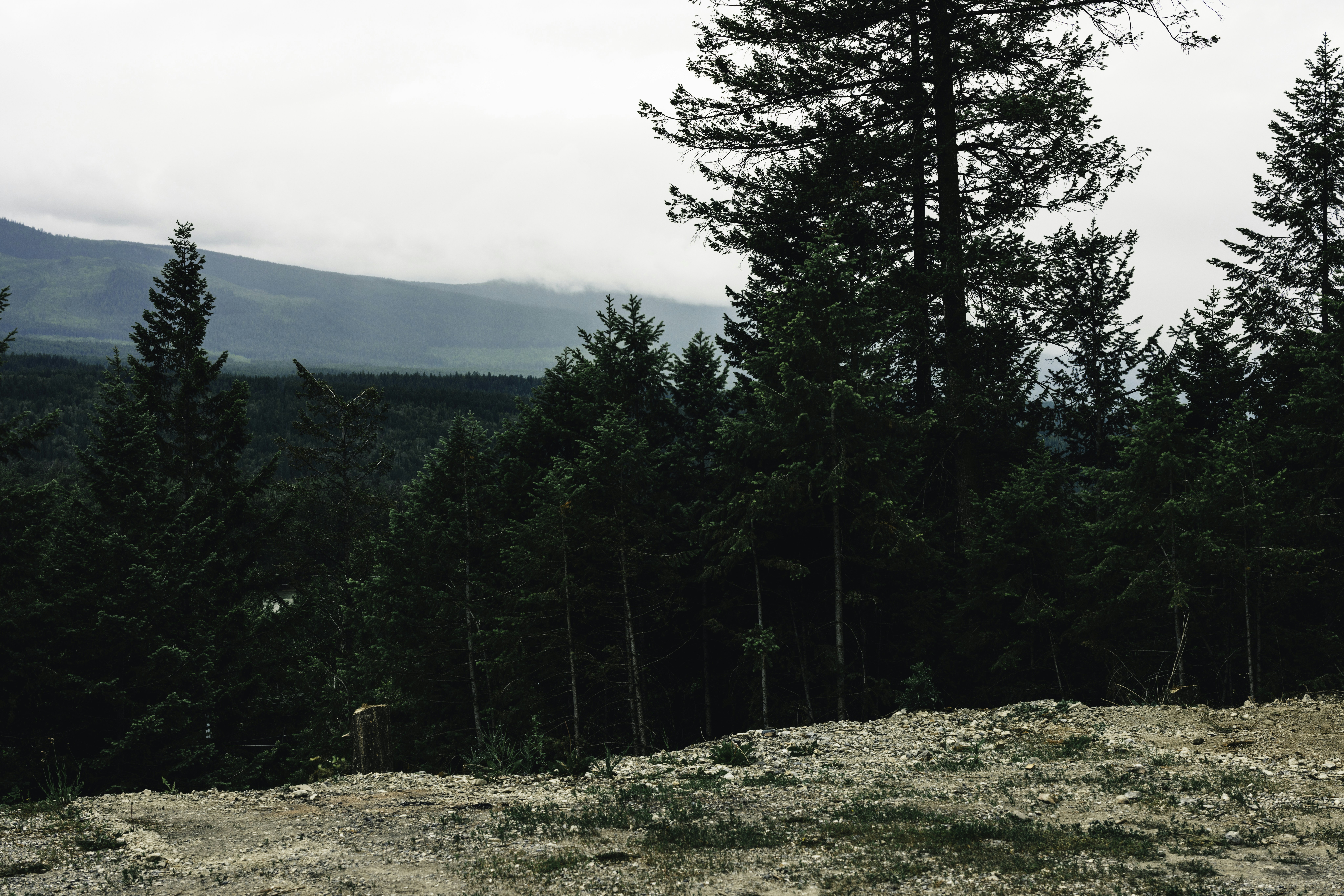 Photo by lureofadventure