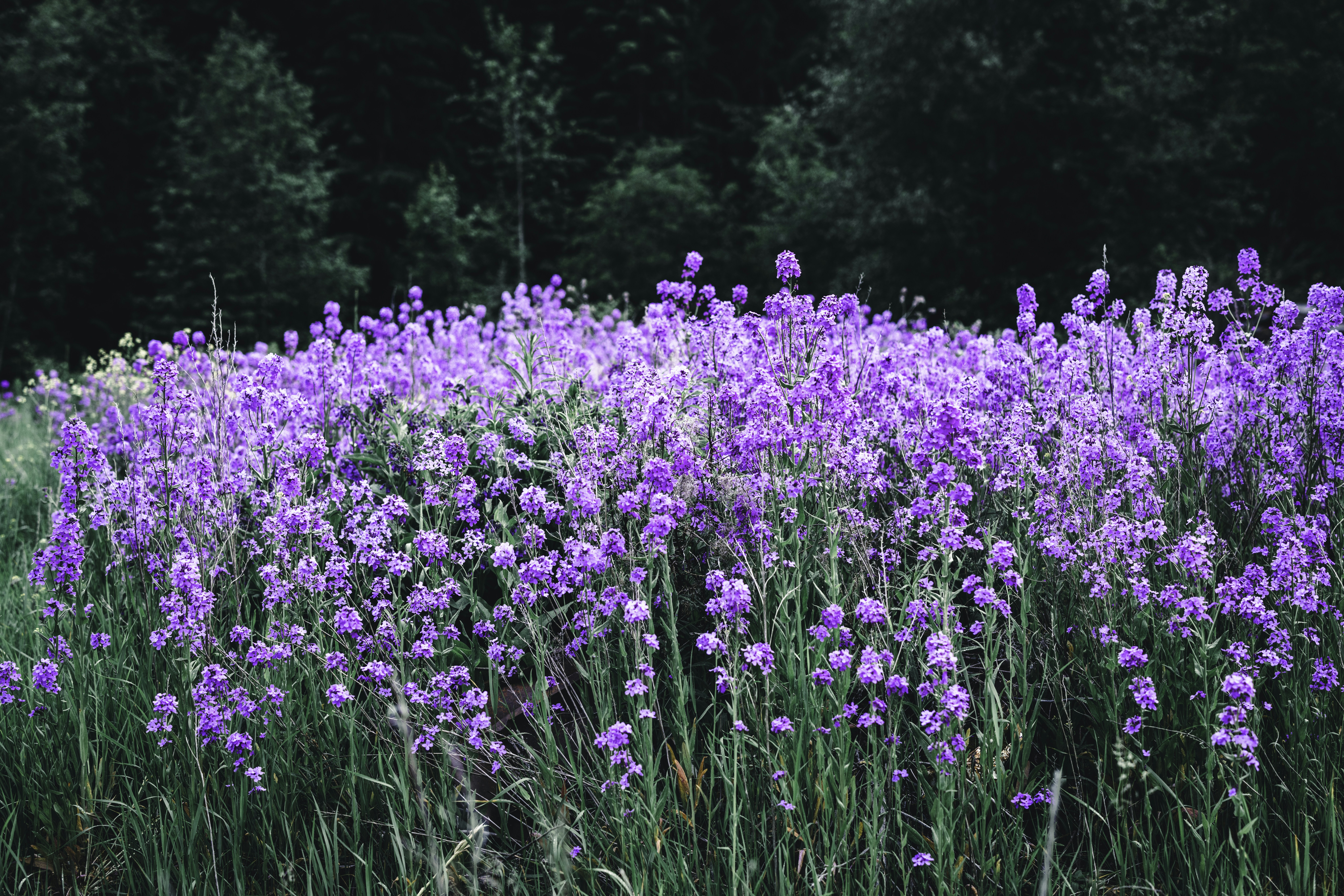 Photo by lureofadventure