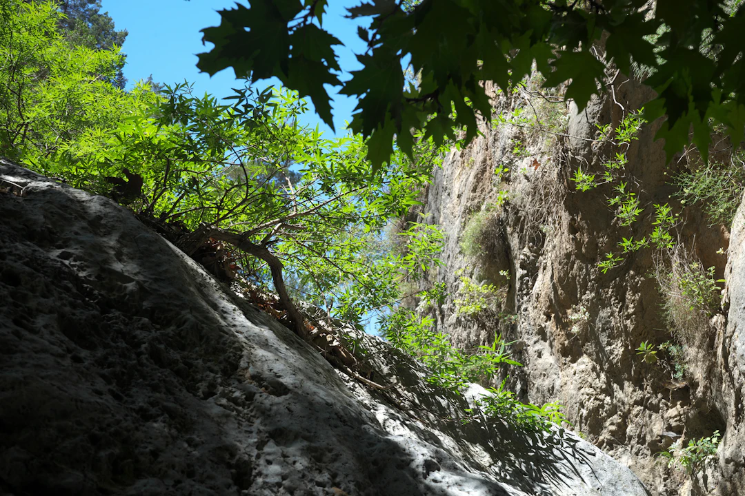 A waterfall in a green gorge