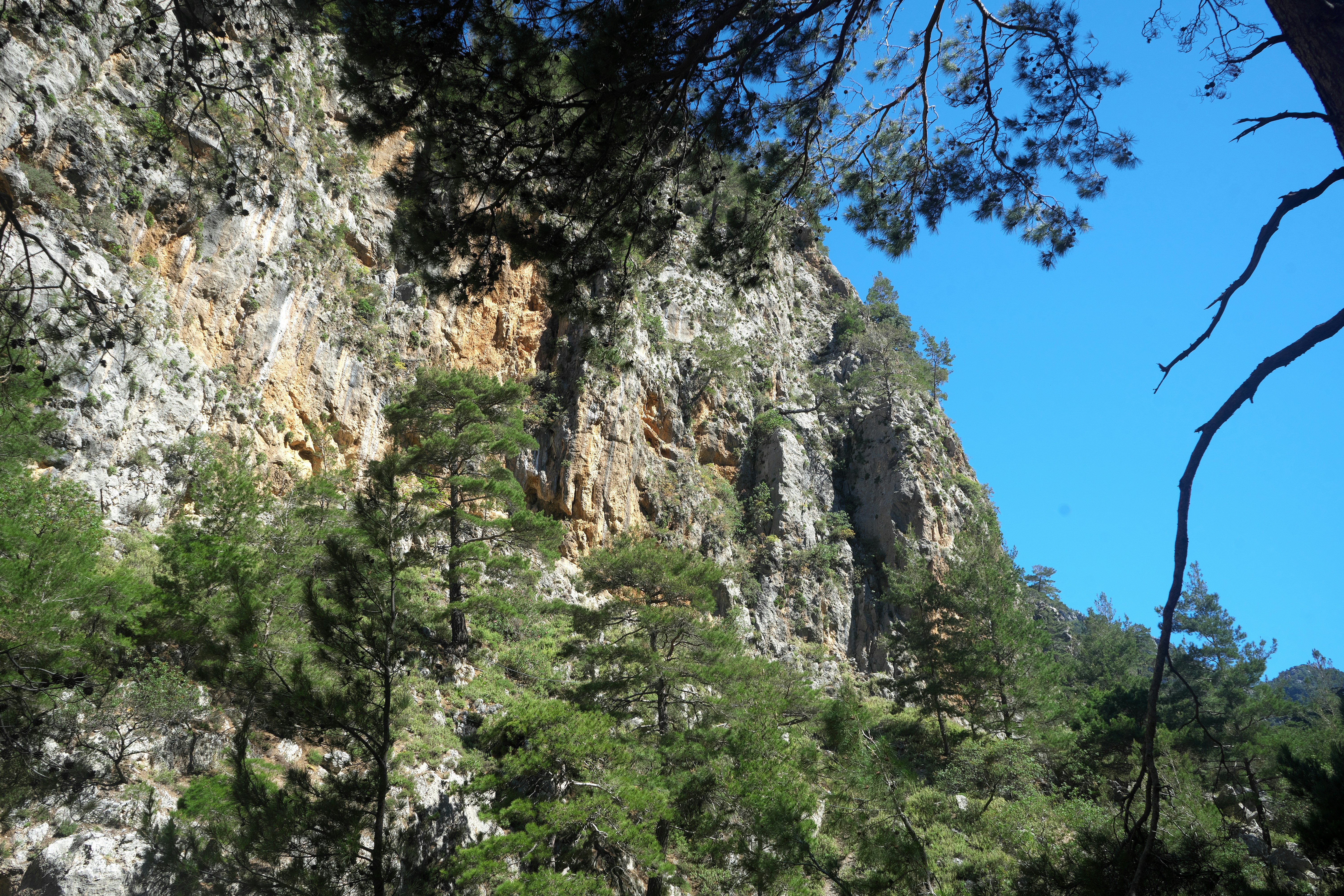 Photo of Samaria Gorge