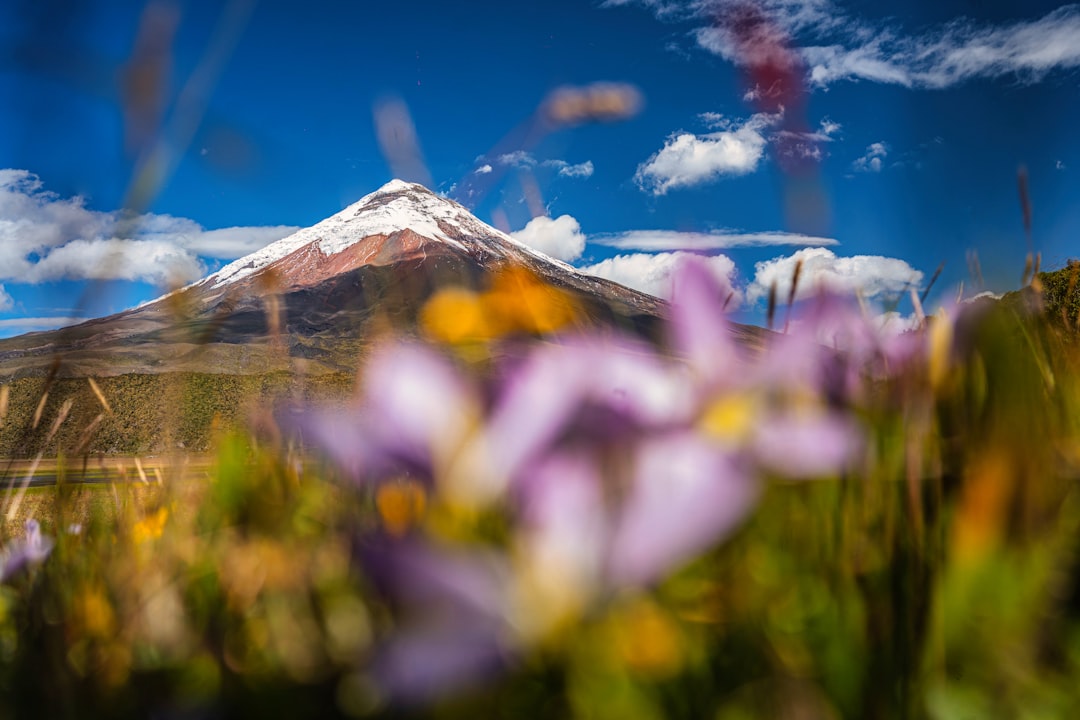 Your First Ecuador Adventure Tips for Saving Money - Considering Fl… — Your First Ecuador Adventure Tips for