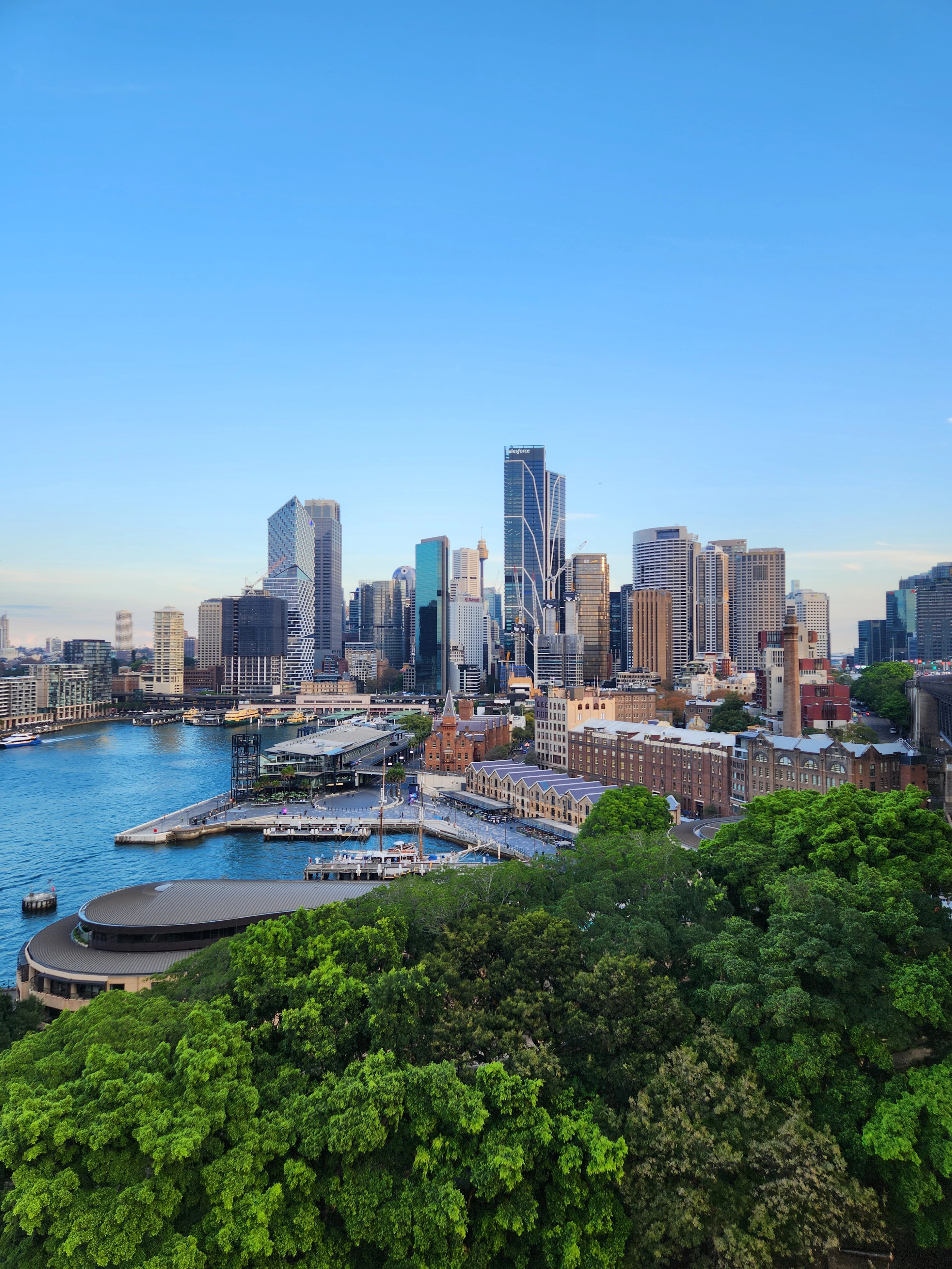 Sydney's CBD skyline and harbour wharves seen through green treetops from an elevated park
