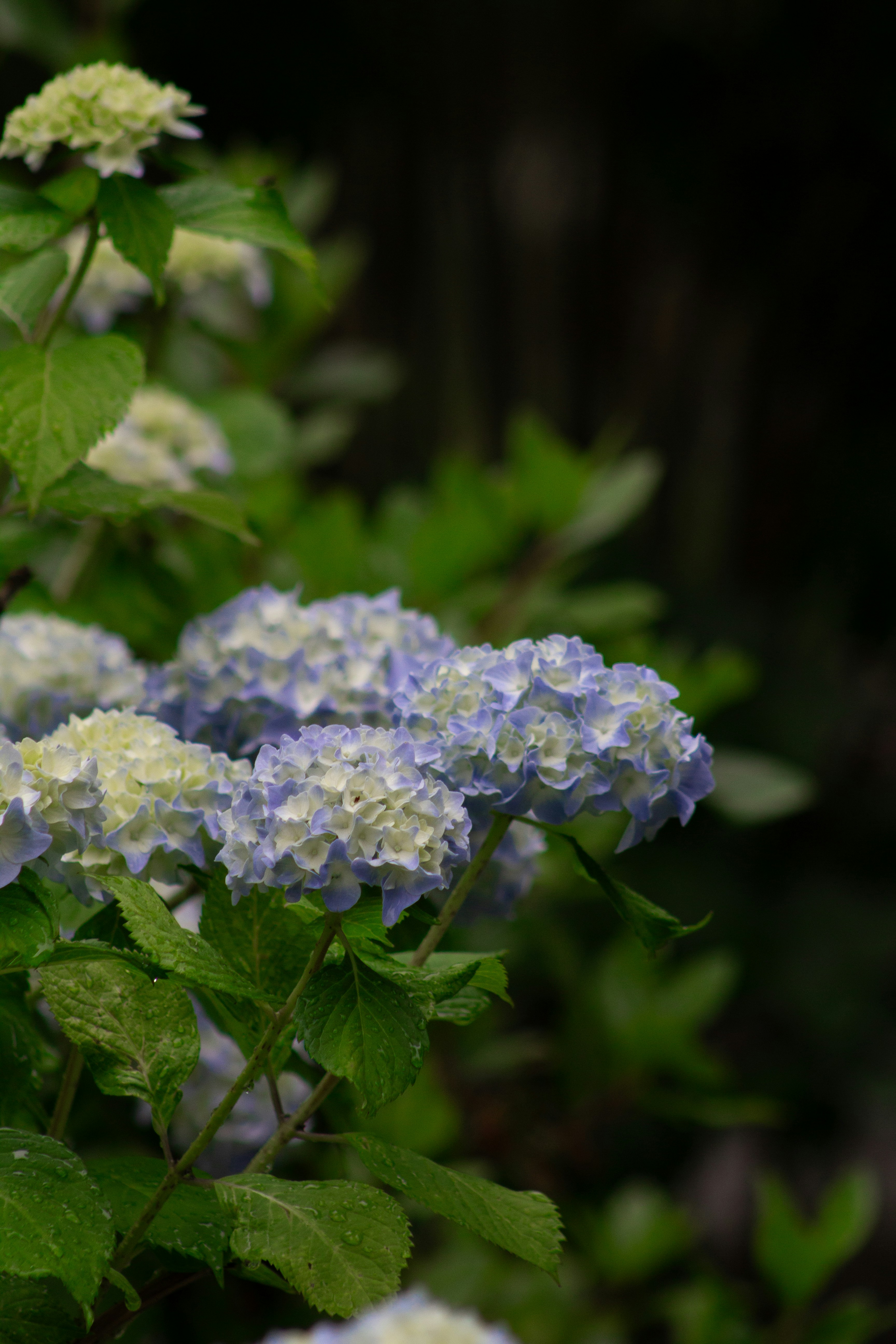 Photo by charlysey278