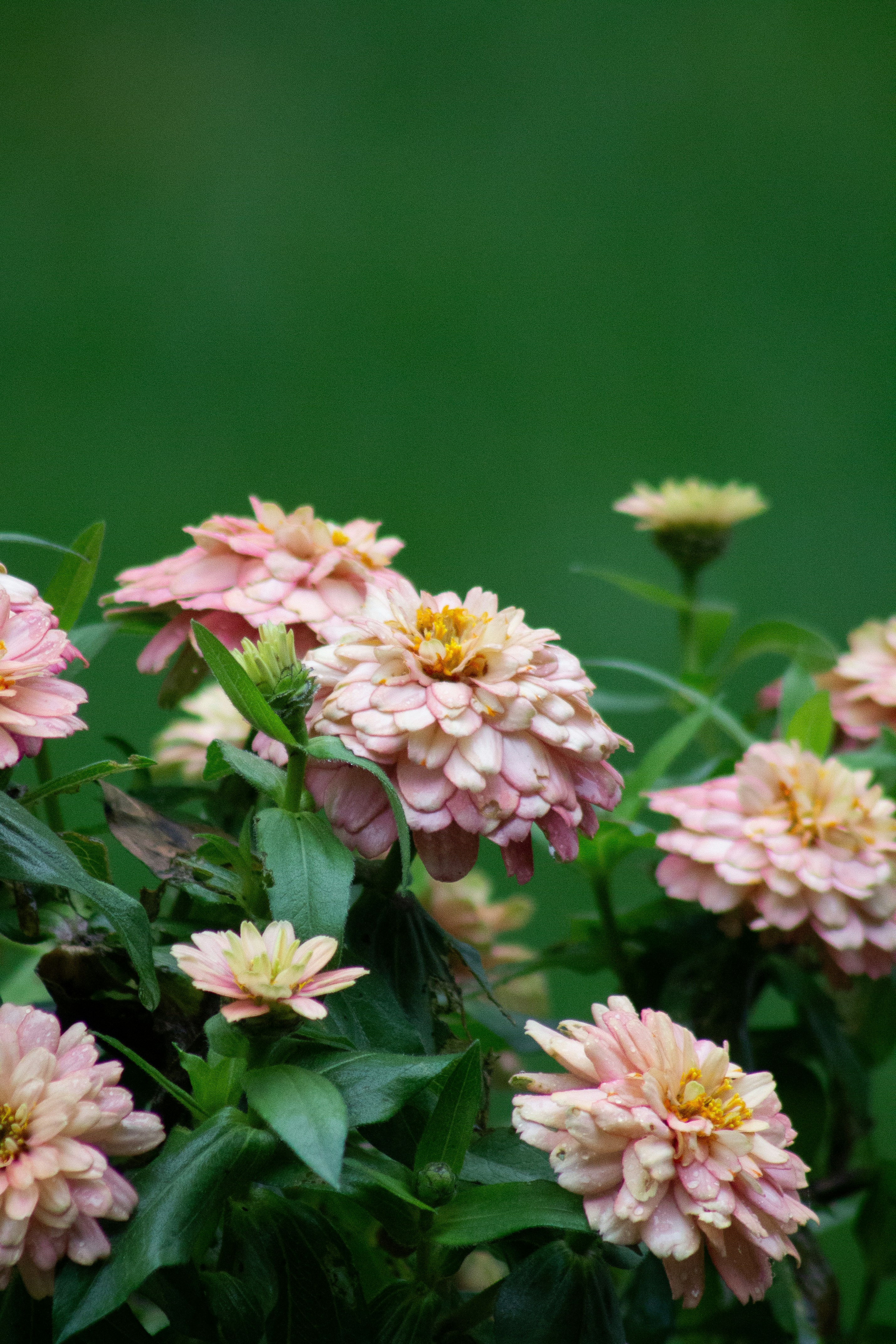 Photo by charlysey278