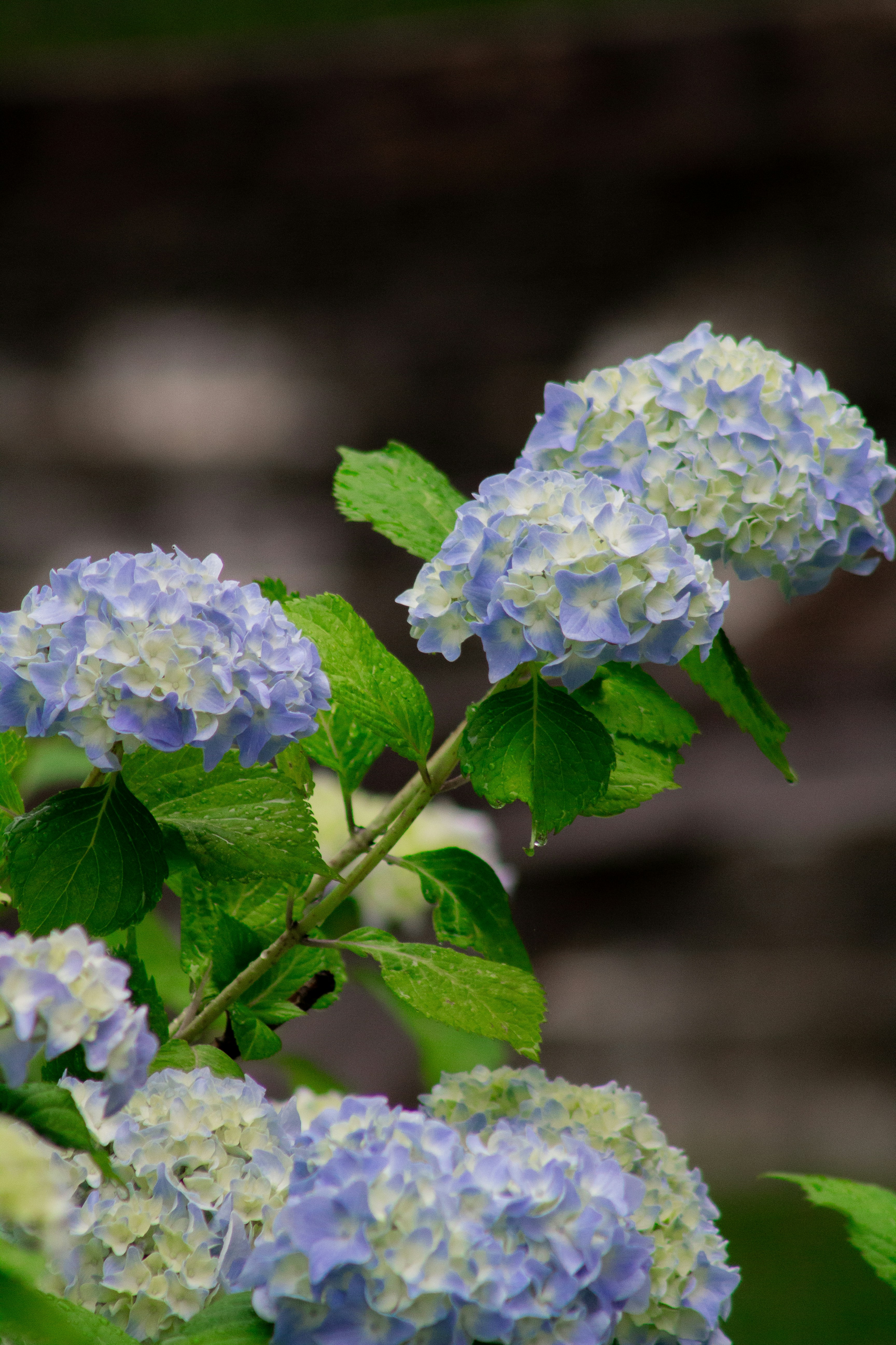 Photo by charlysey278