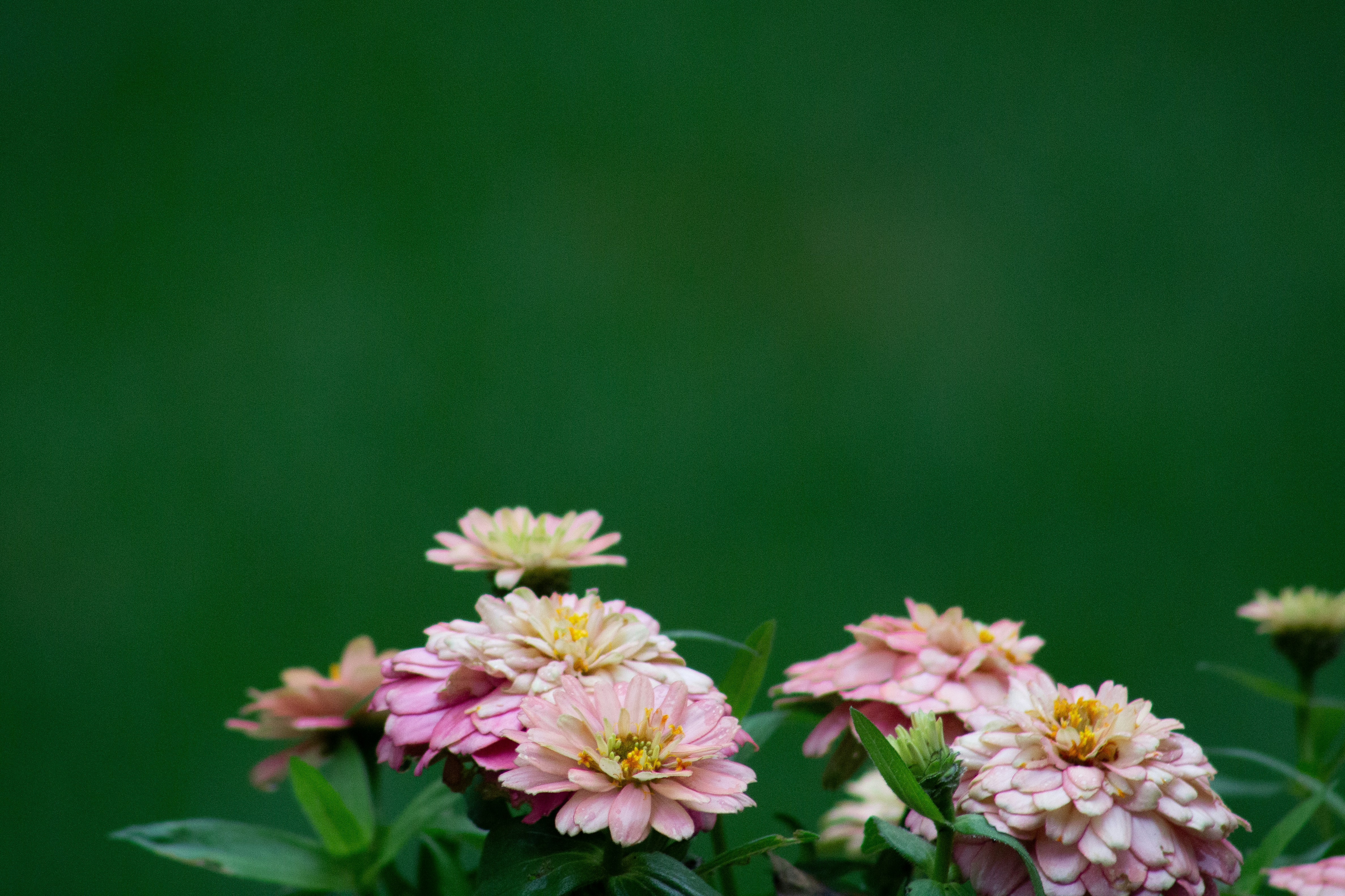 Photo by charlysey278