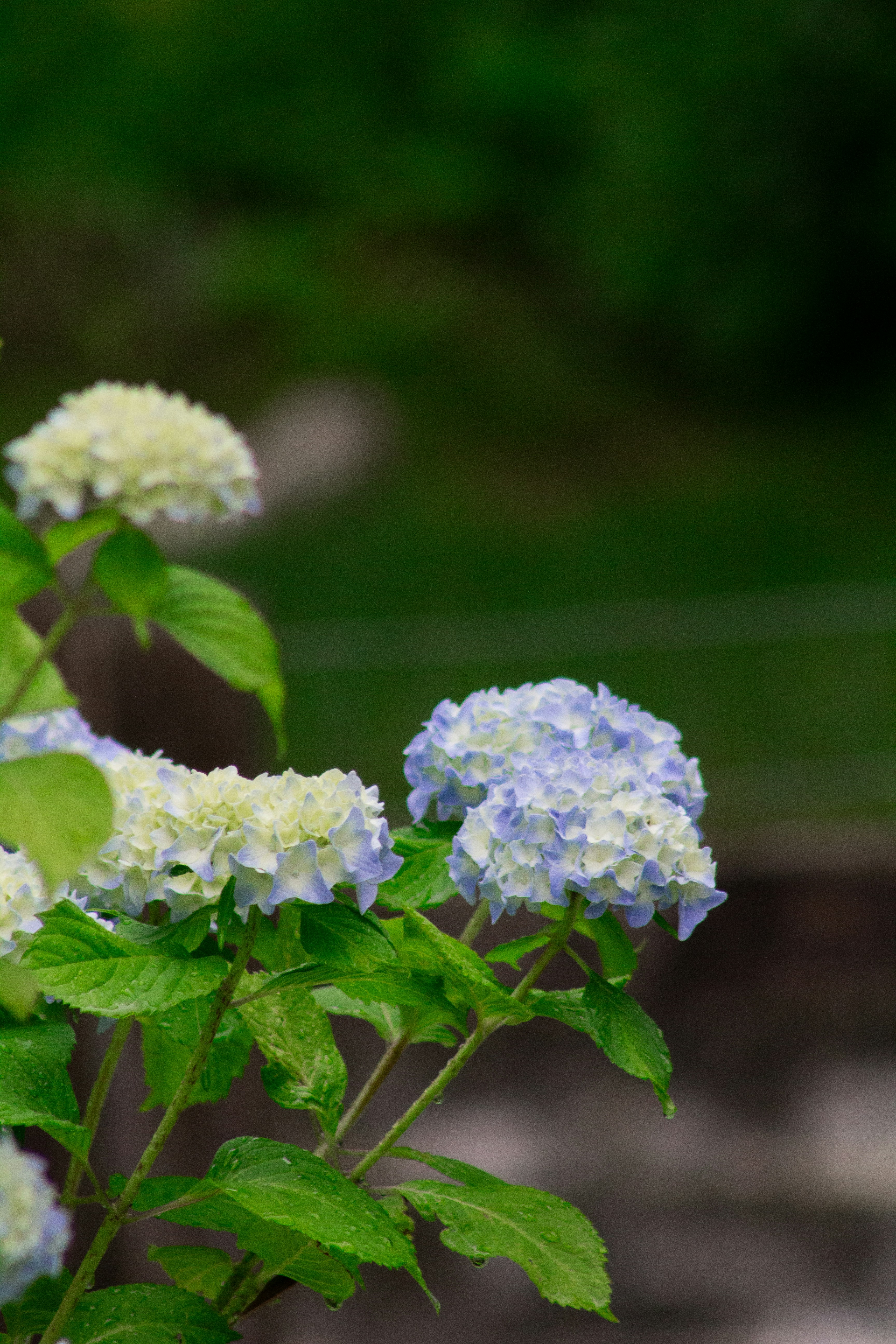 Photo by charlysey278