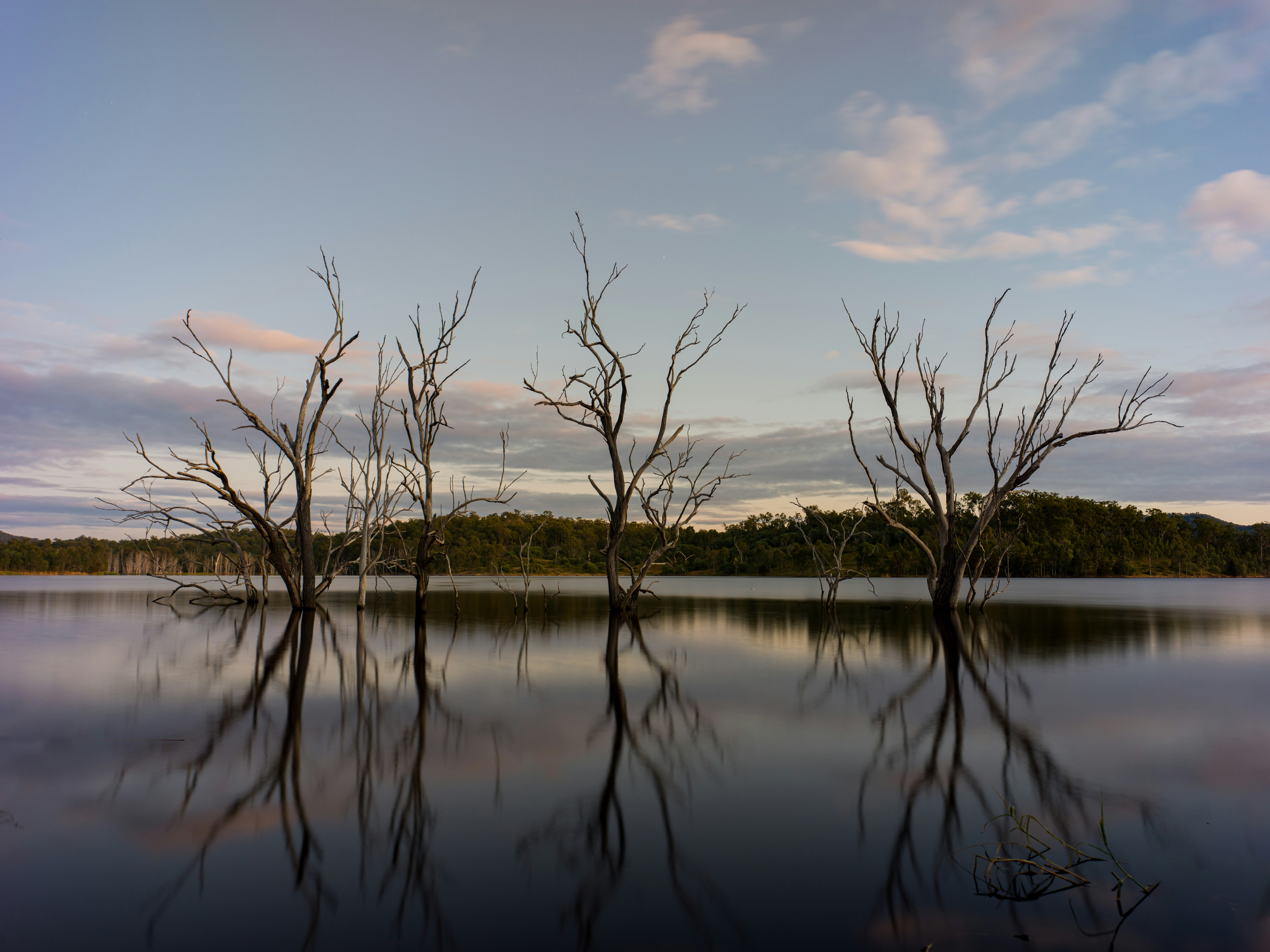 Photo by sebastianluo