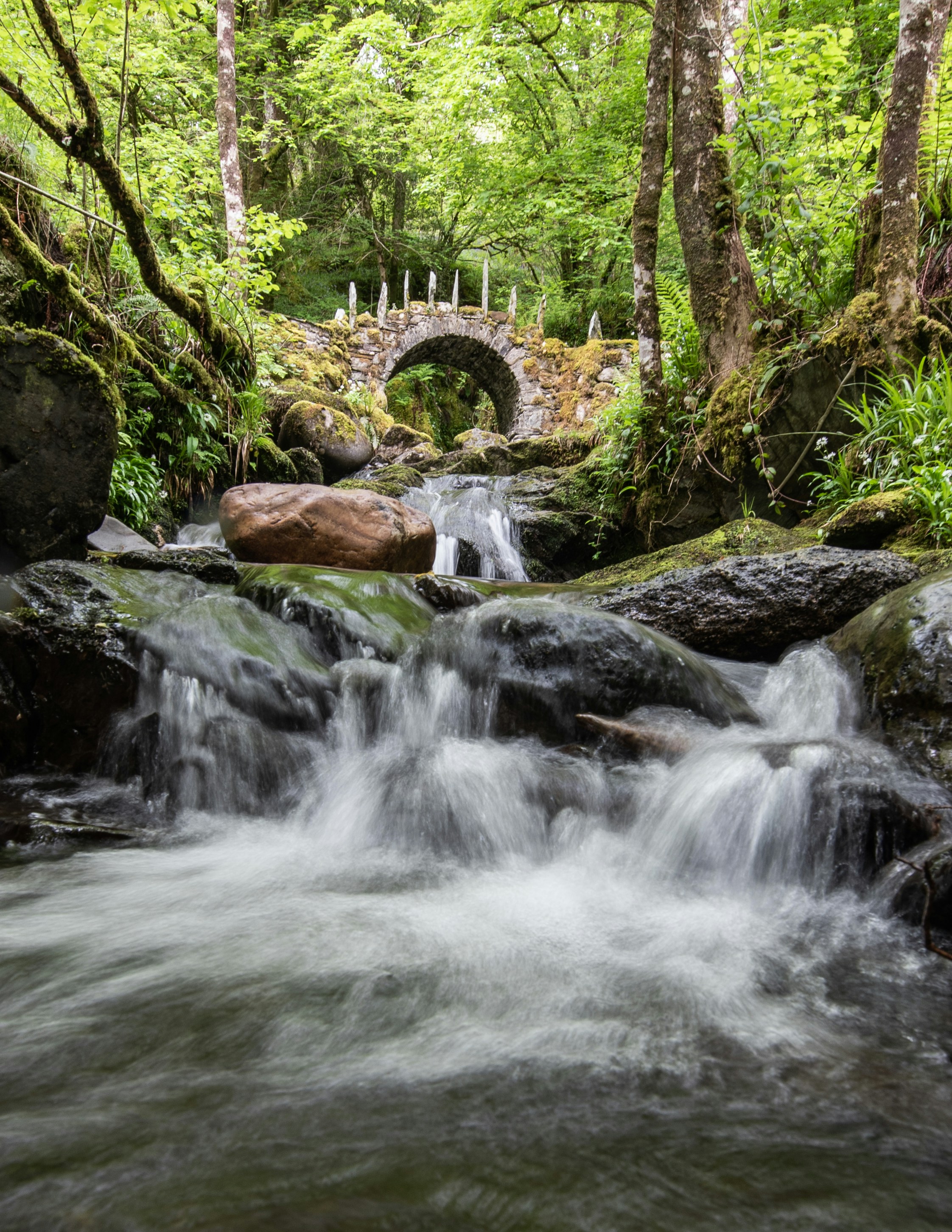 Photo by suzanne_ella