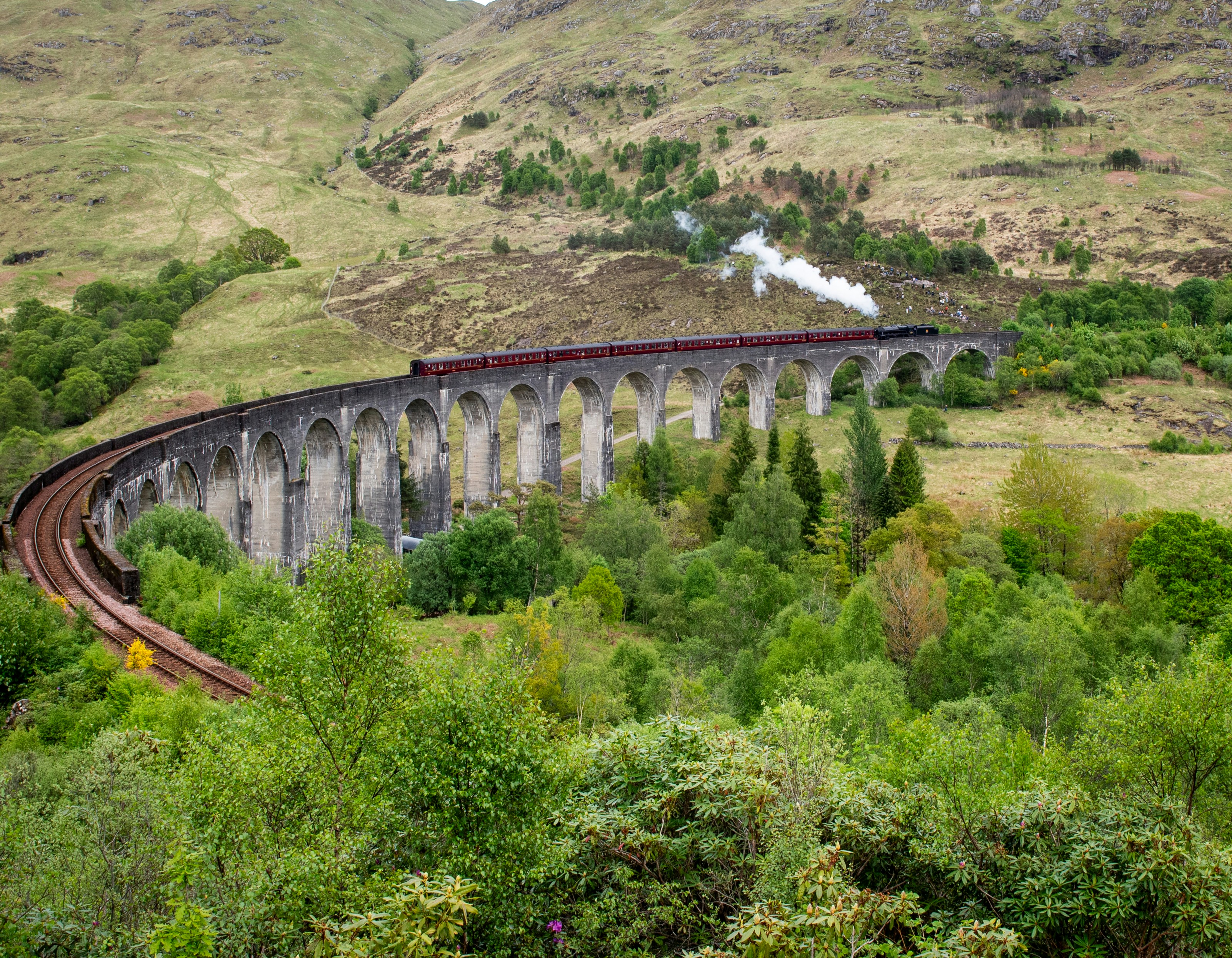 A train traveling over a bridge over a lush green hillside