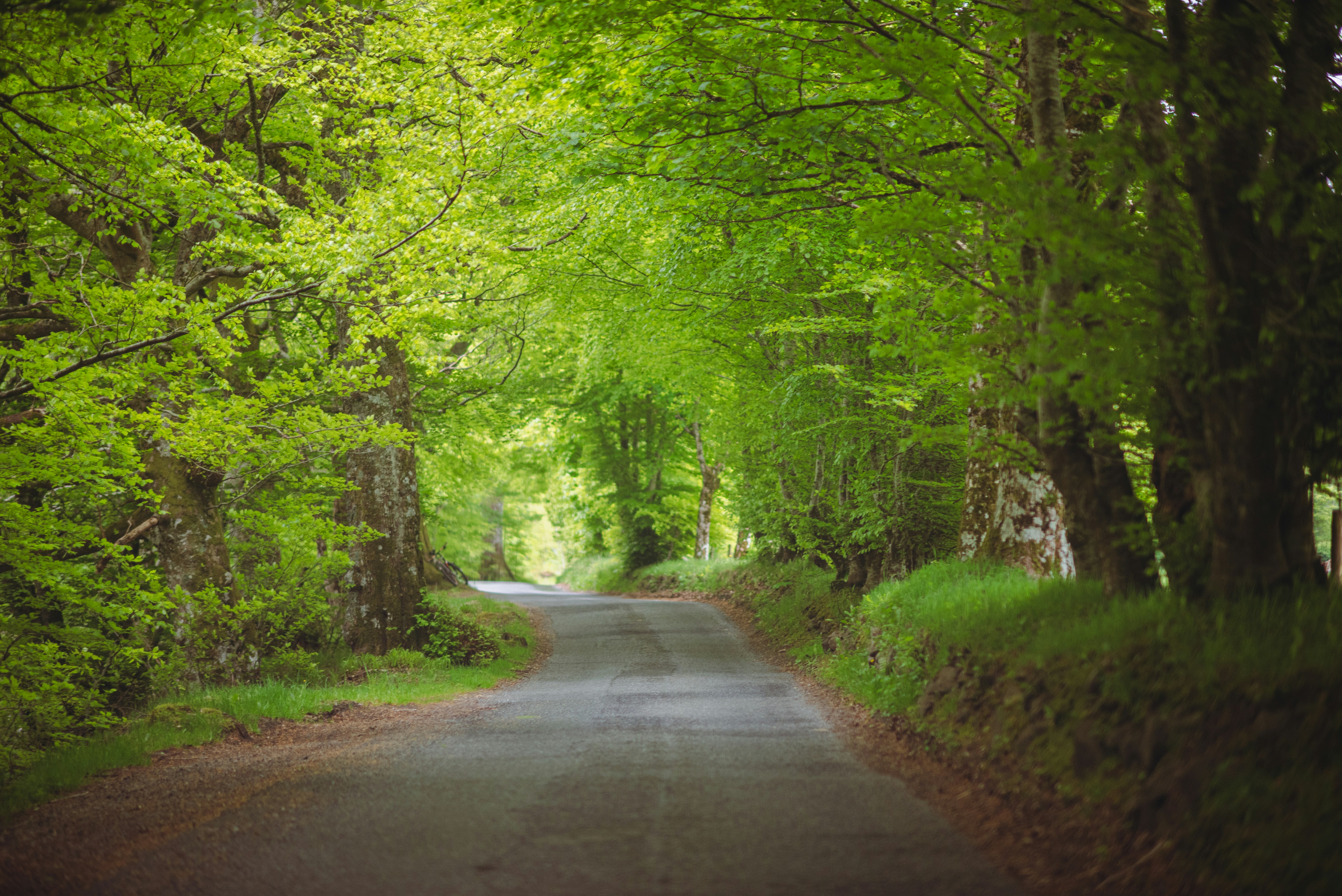 Photo by suzanne_ella