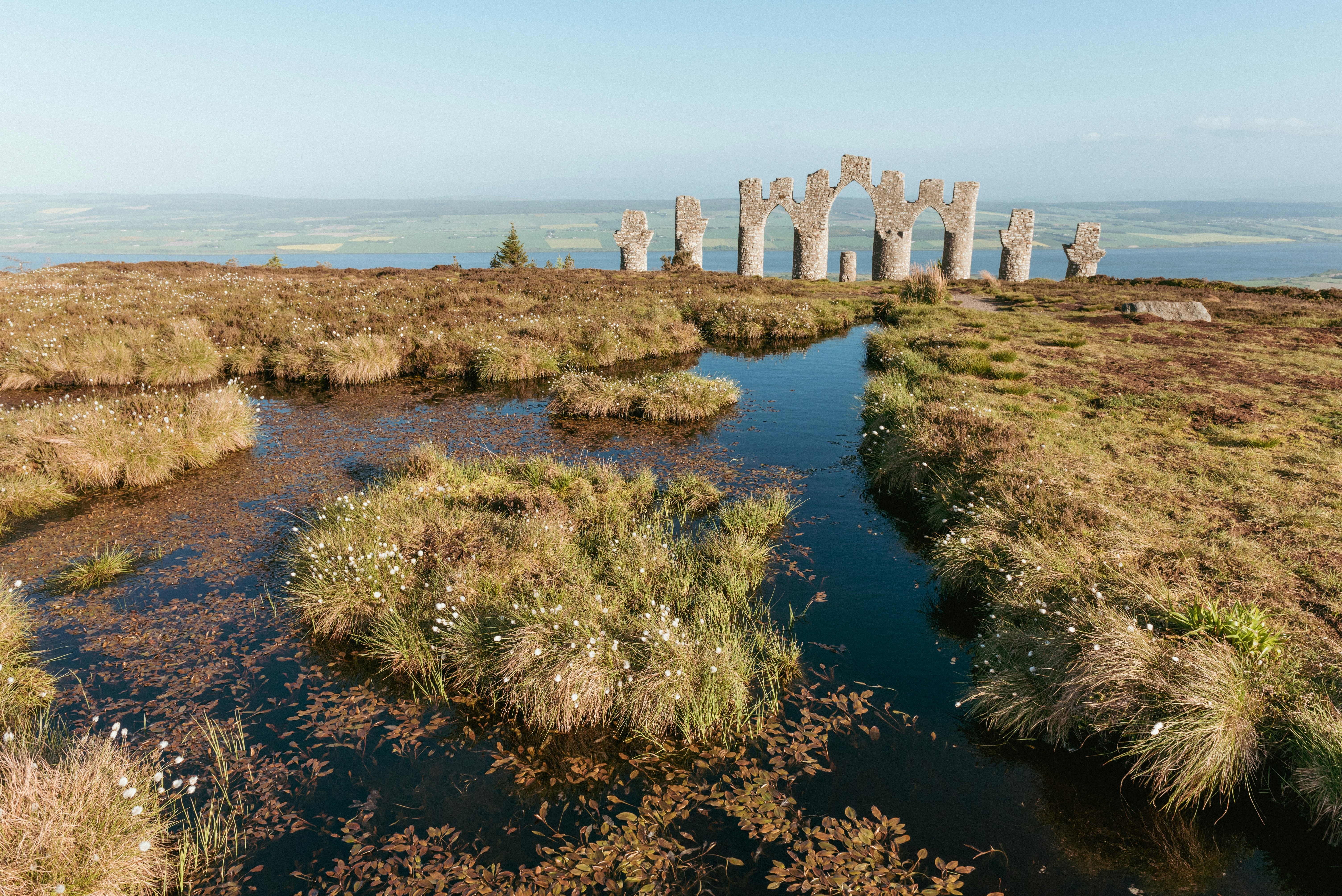 A body of water surrounded by grass and rocks