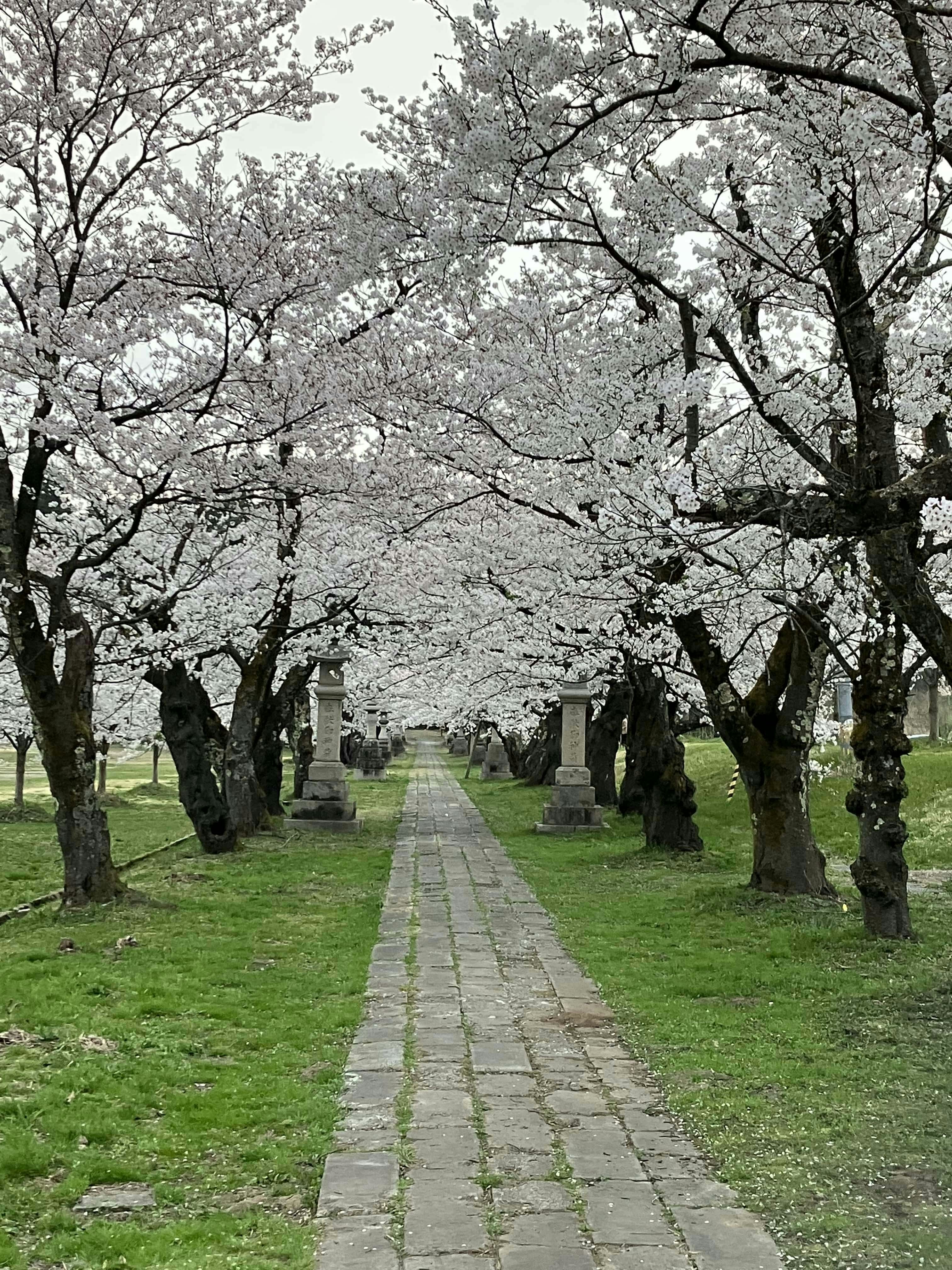 Photo by akaneya_ruruka